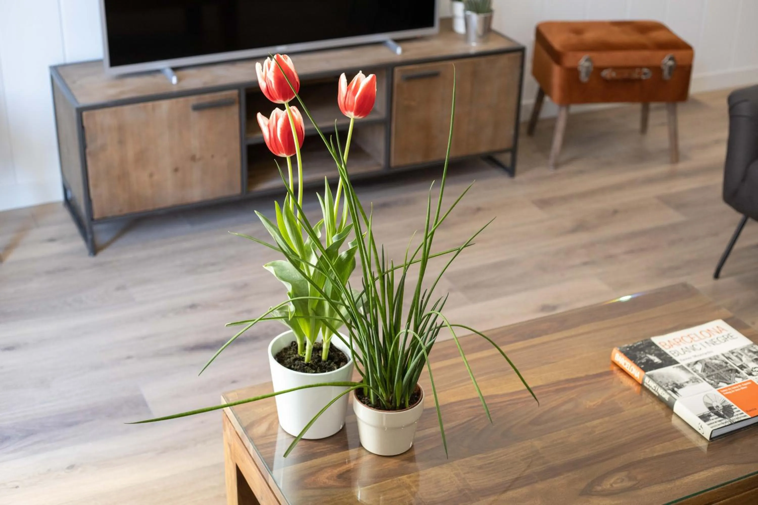 Seating area in LucasLand Apartments Barcelona