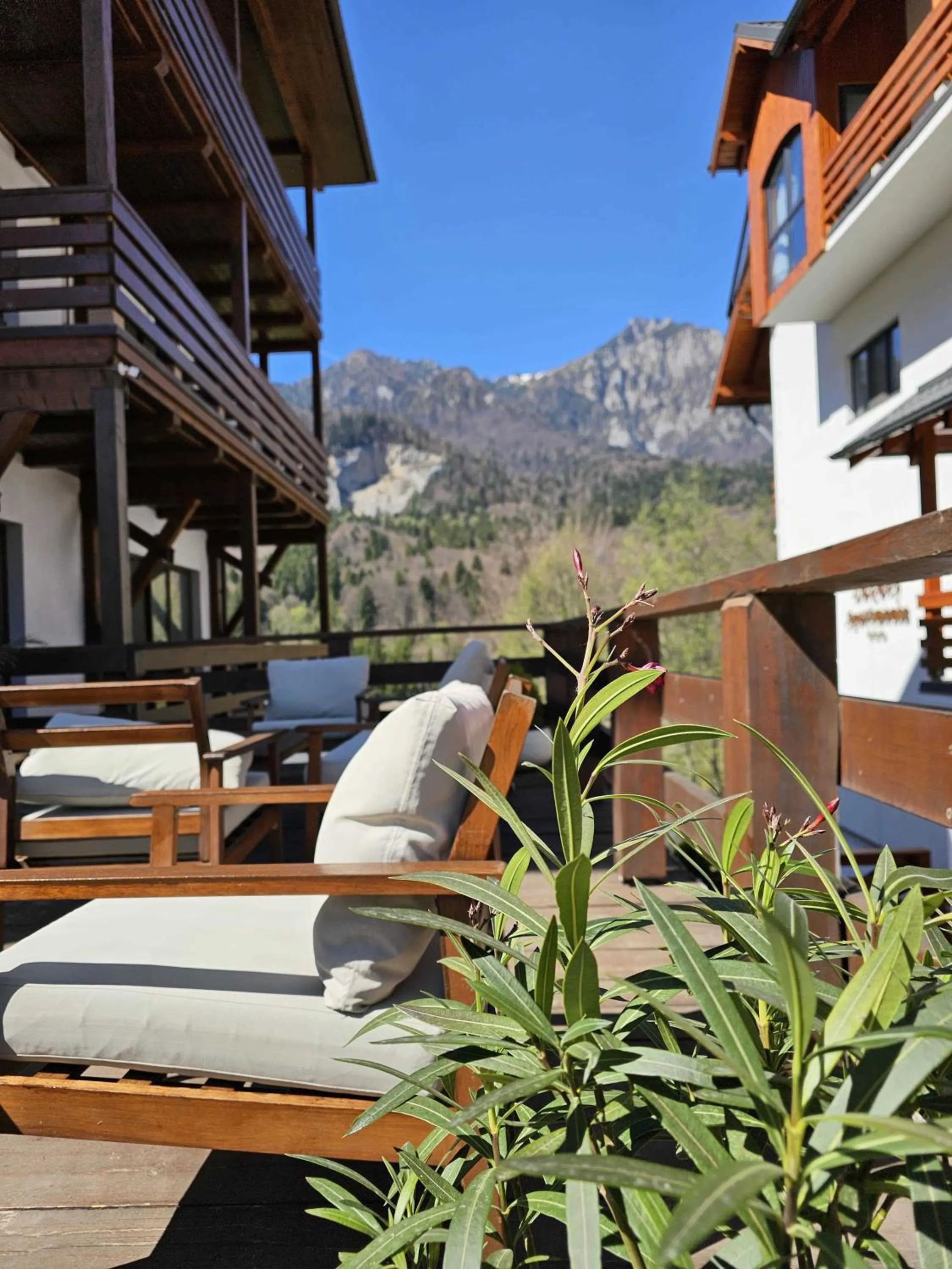 Mountain view in Yael Luxury Apartments 3