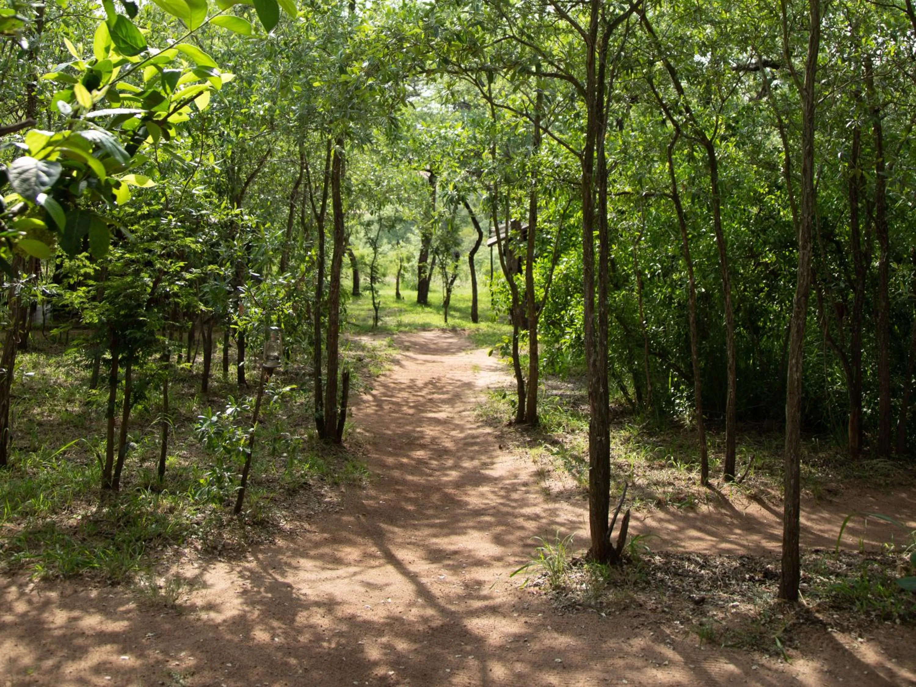 Natural landscape in Buffalo Rock Tented Camp