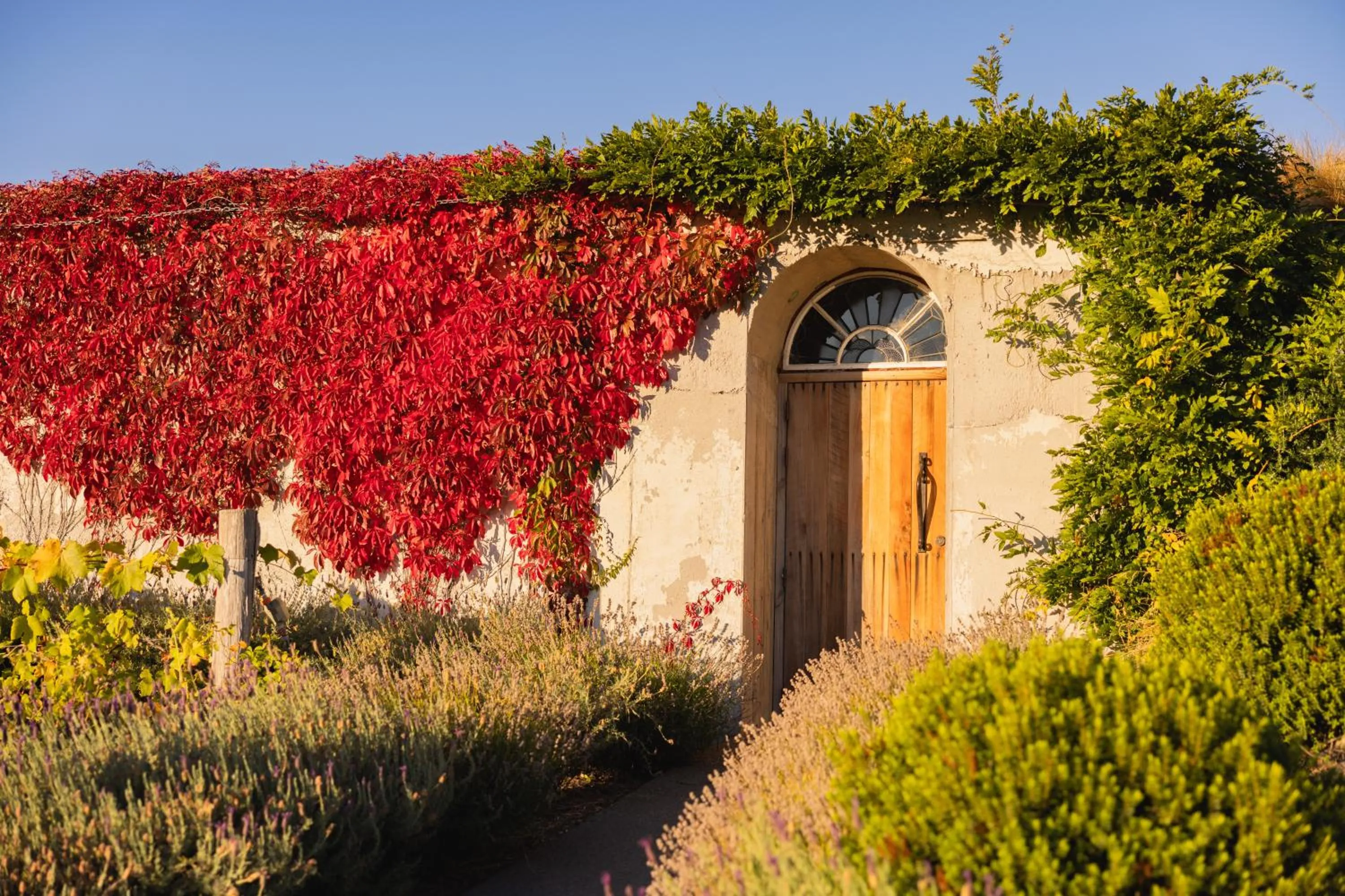 Property building in Mt Cook Lakeside Retreat