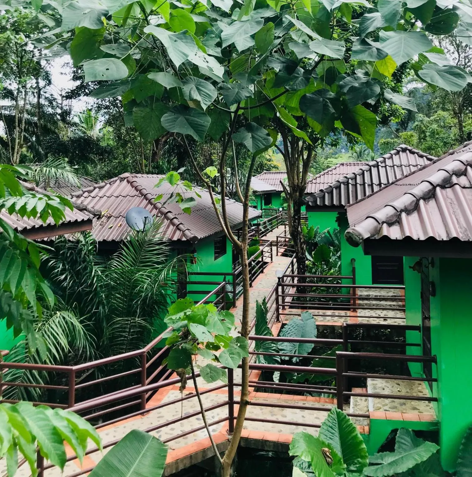 Property building in Khao Sok River Lodge Hotel