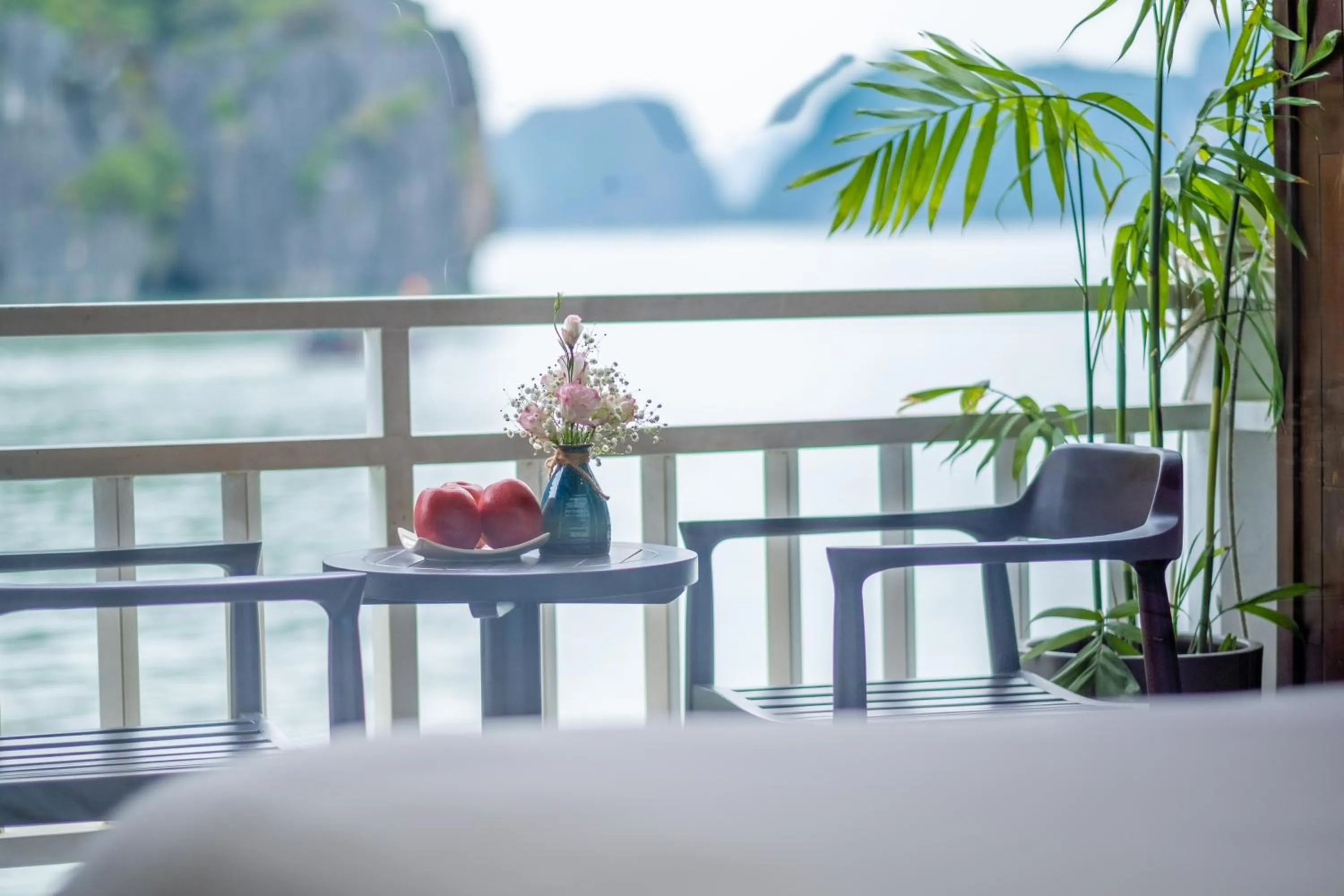 View (from property/room) in Victory Star Cruise