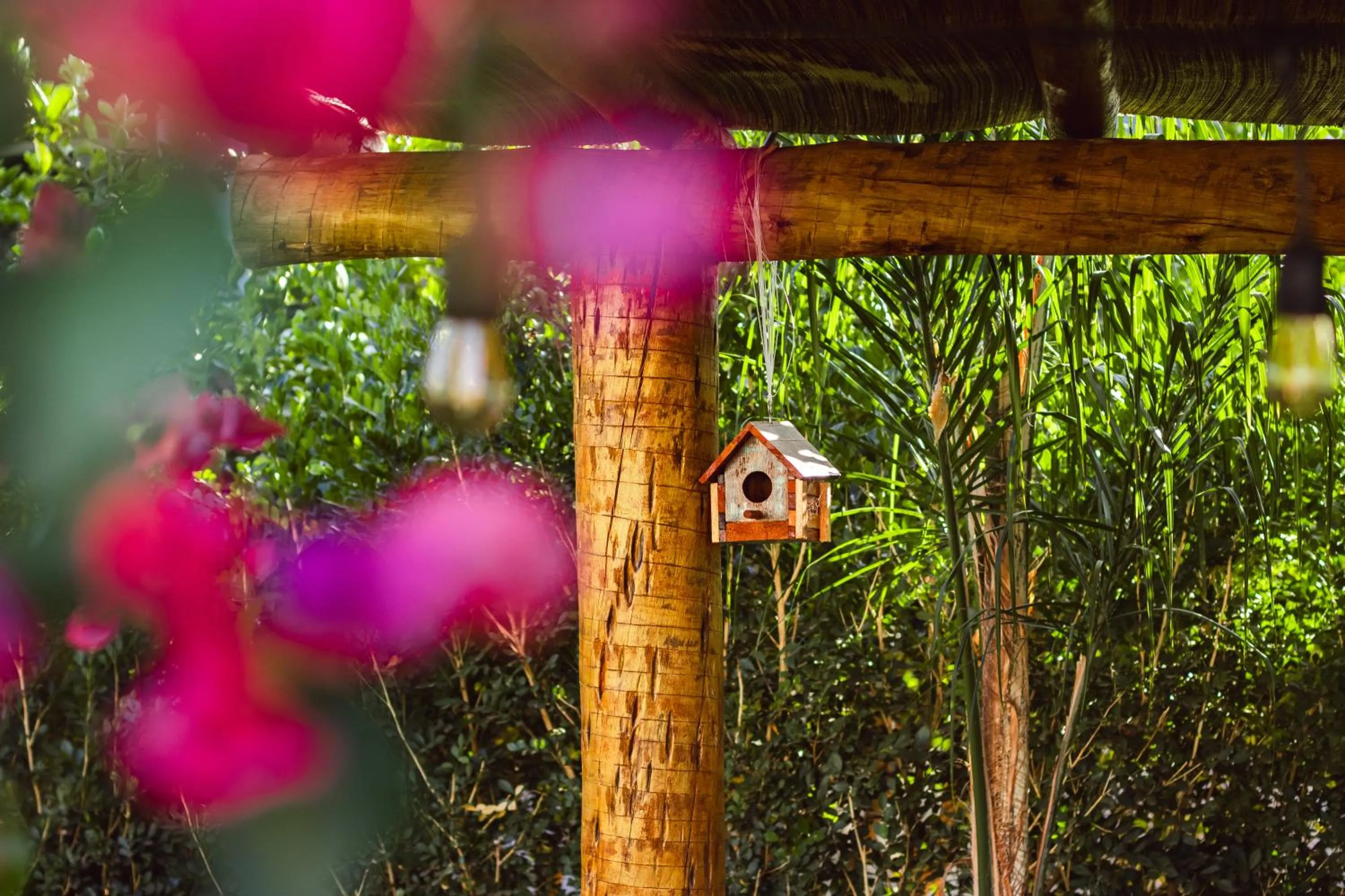 Garden in Pousada Viver Capitólio