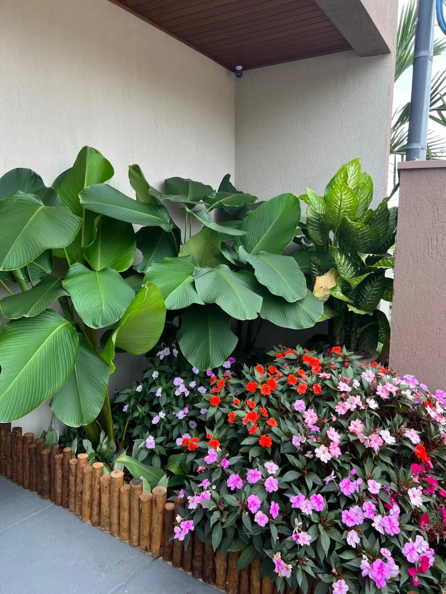 Spring in Pousada Viver Capitólio