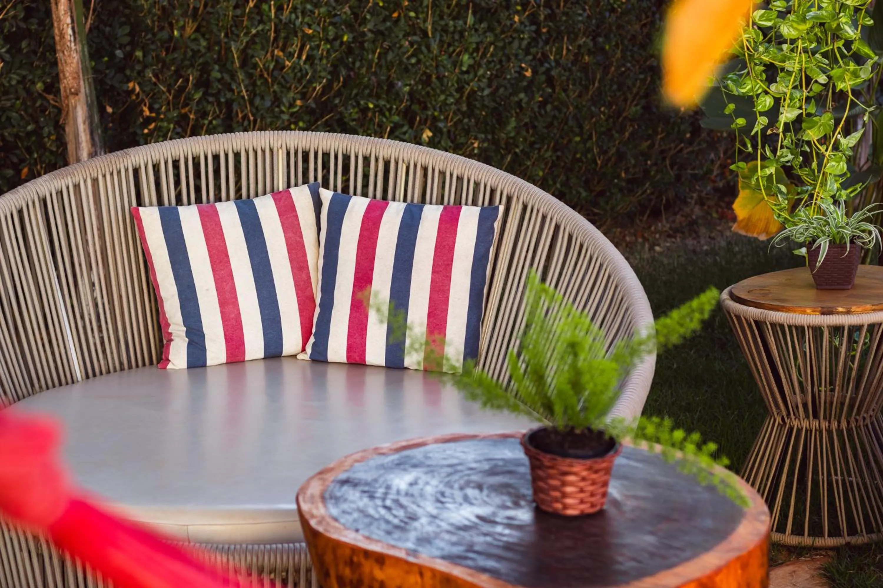 Garden in Pousada Viver Capitólio