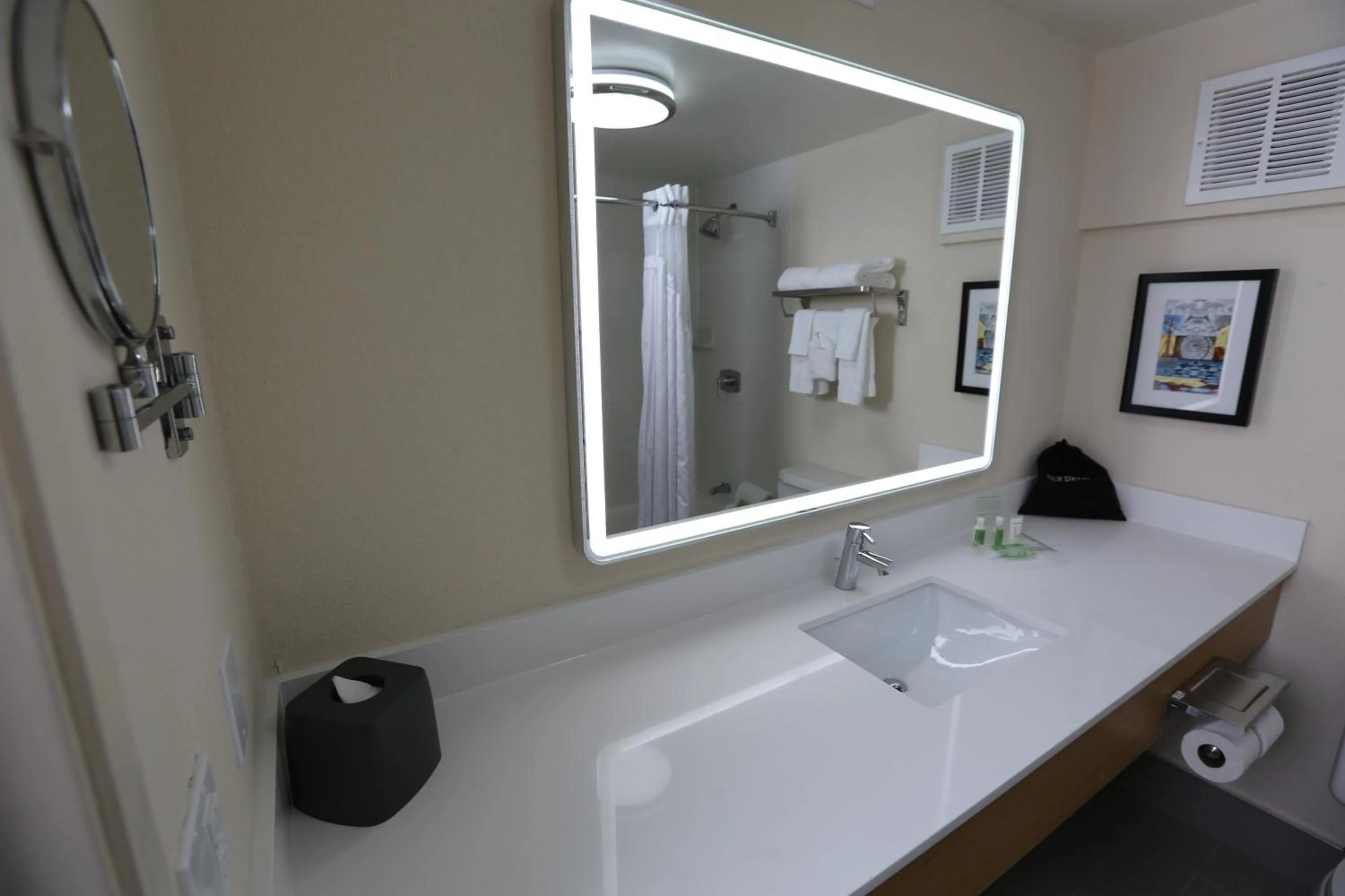 Bathroom in Holiday Inn Chicago North Shore by IHG