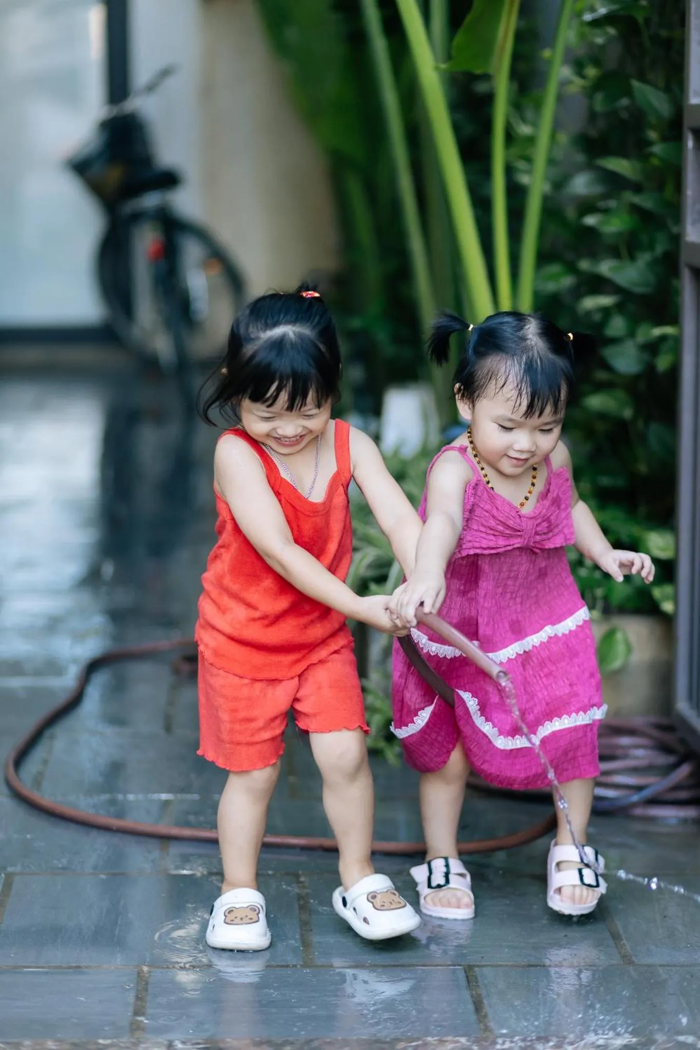 Garden in O Zoli Home
