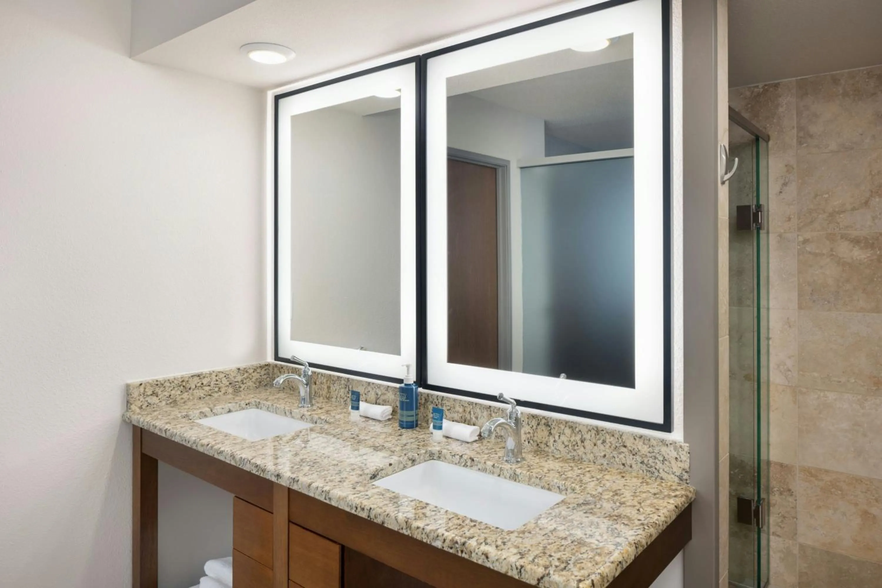 Bathroom in Four Points By Sheraton - Saginaw