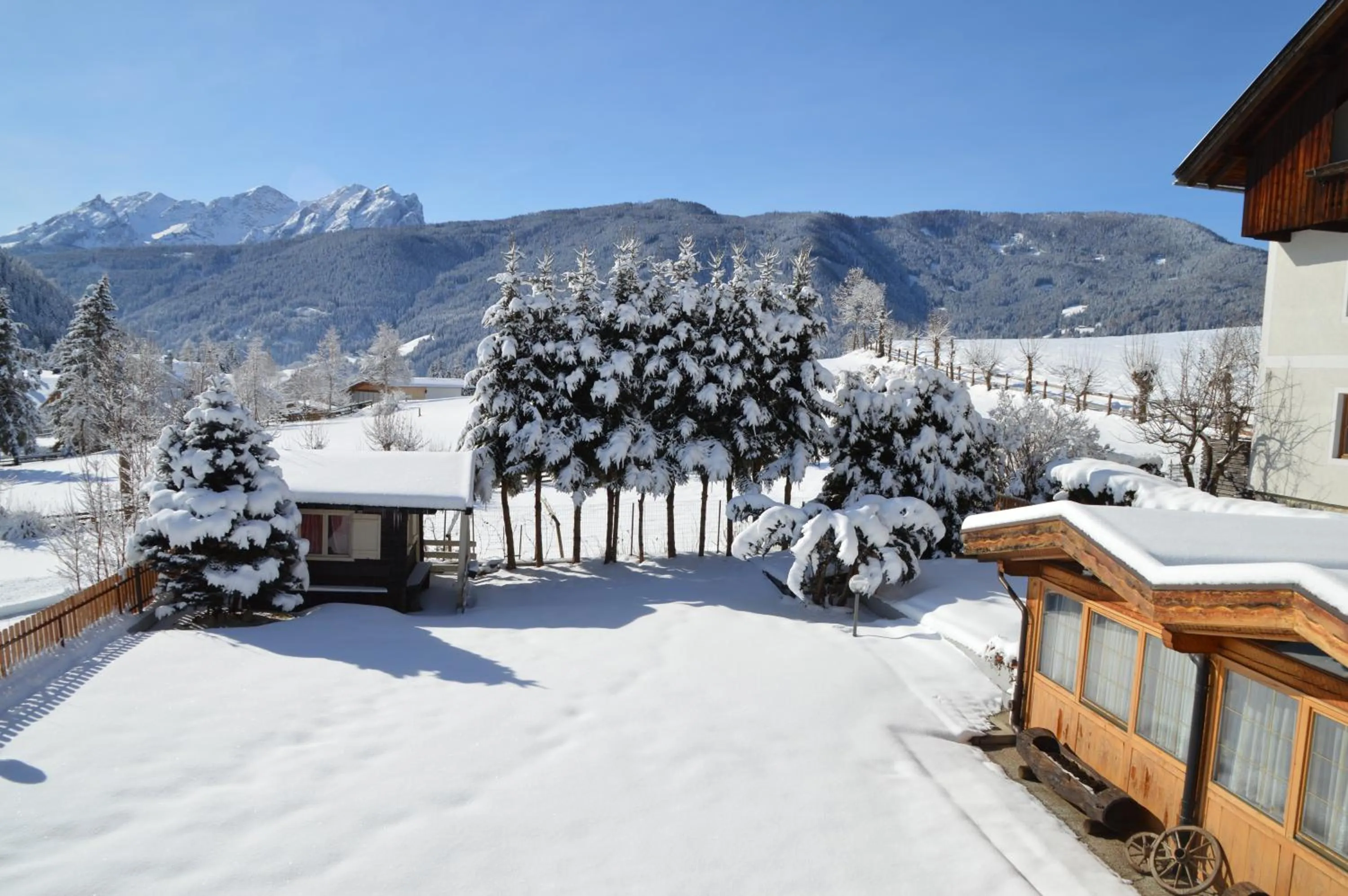 Balcony/Terrace in Hotel Chalet Olympia