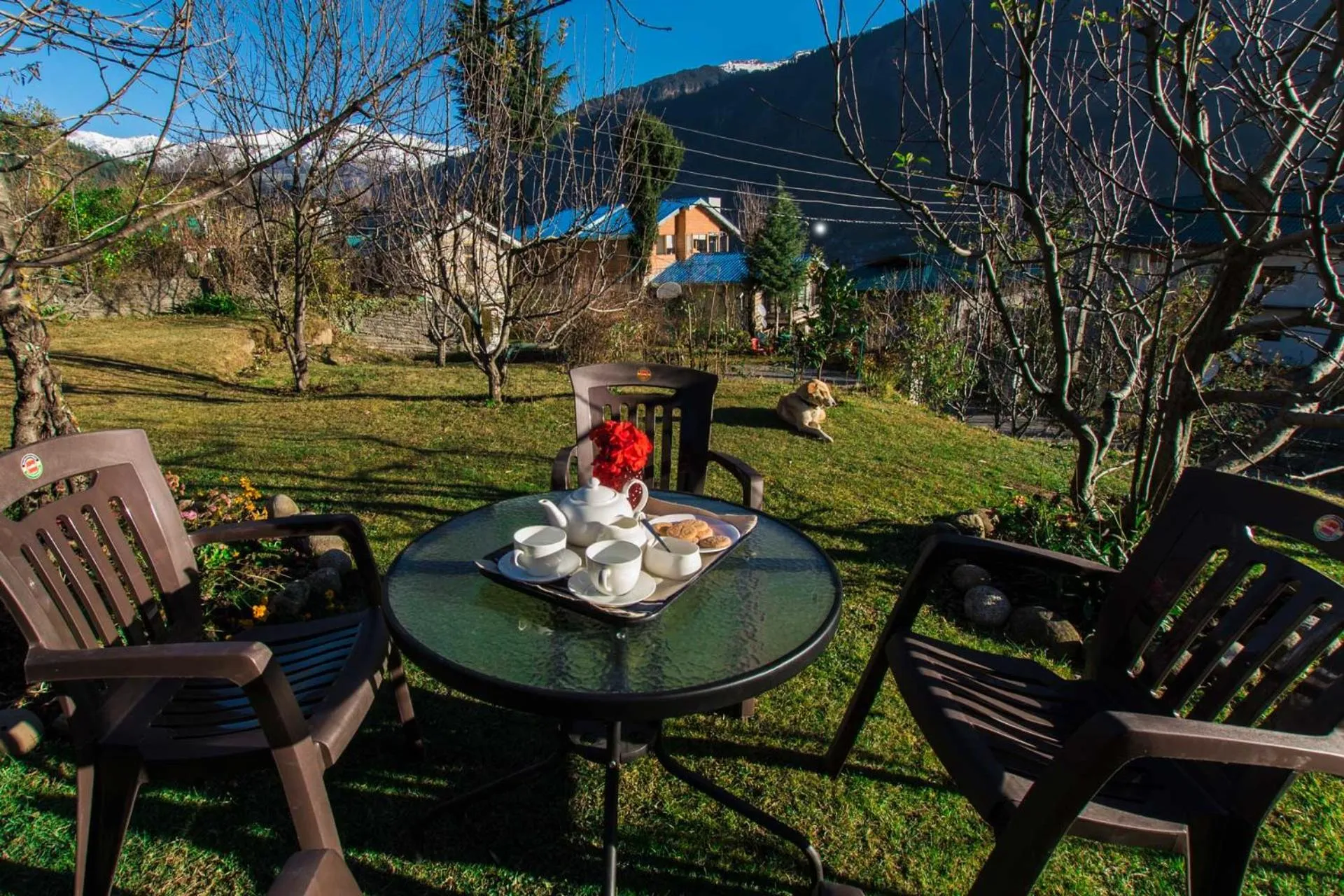 Garden in StayVista at Jodhpur House - 3 BR Pet friendly Villa amidst Apple, Pear and Cherry Orchards in Manali