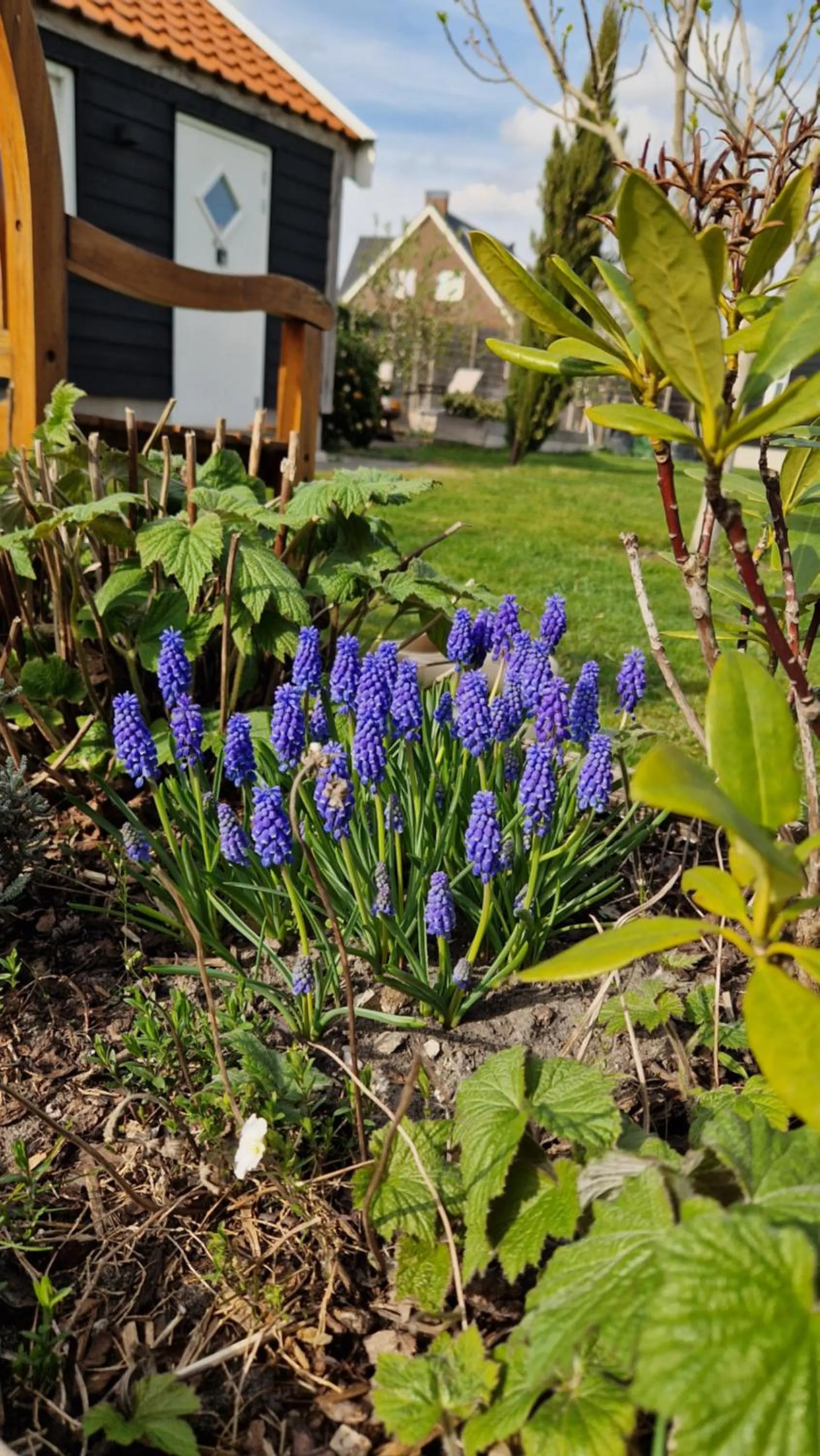 Garden in Bed & Breakfast Donna
