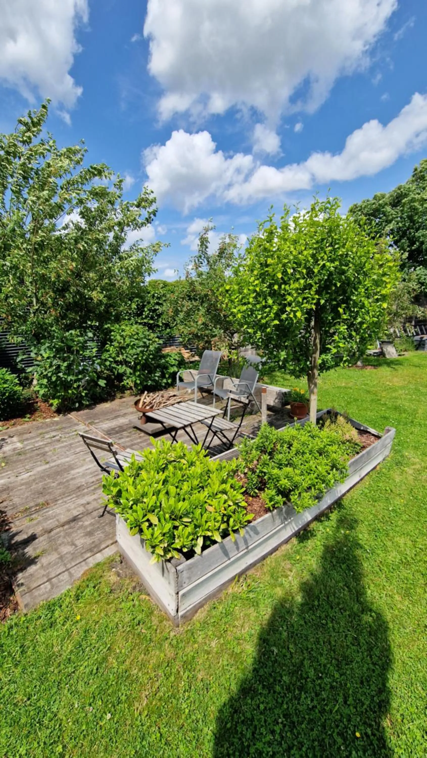 Garden in Bed & Breakfast Donna