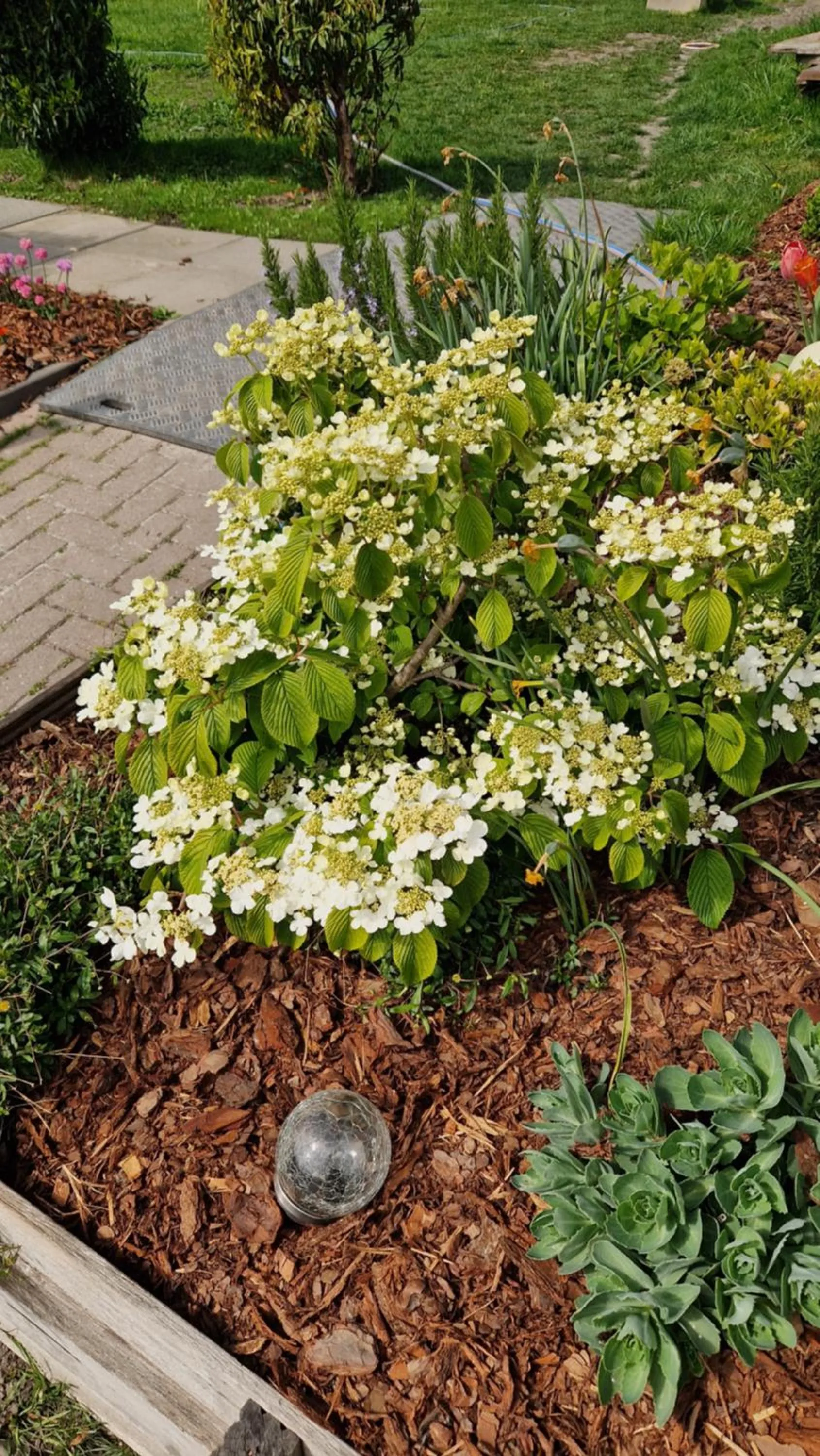 Bed & Breakfast Donna