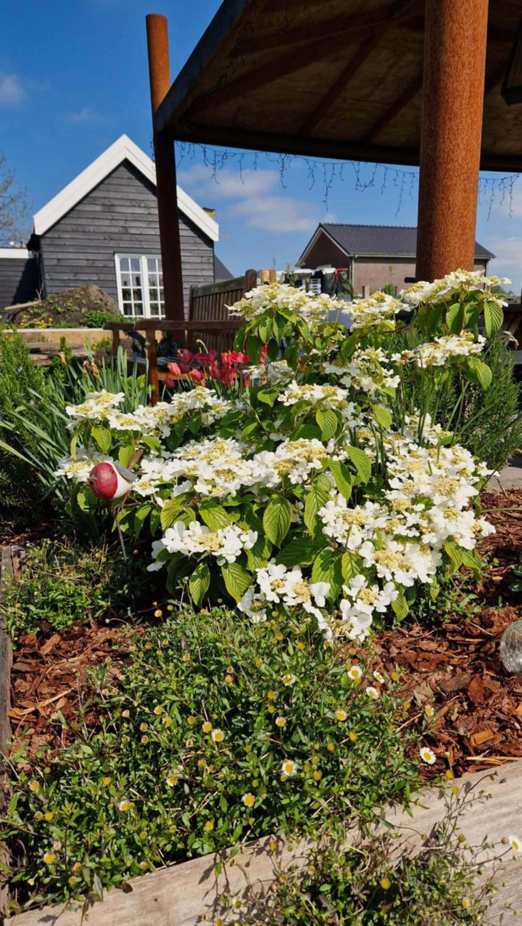 Garden in Bed & Breakfast Donna