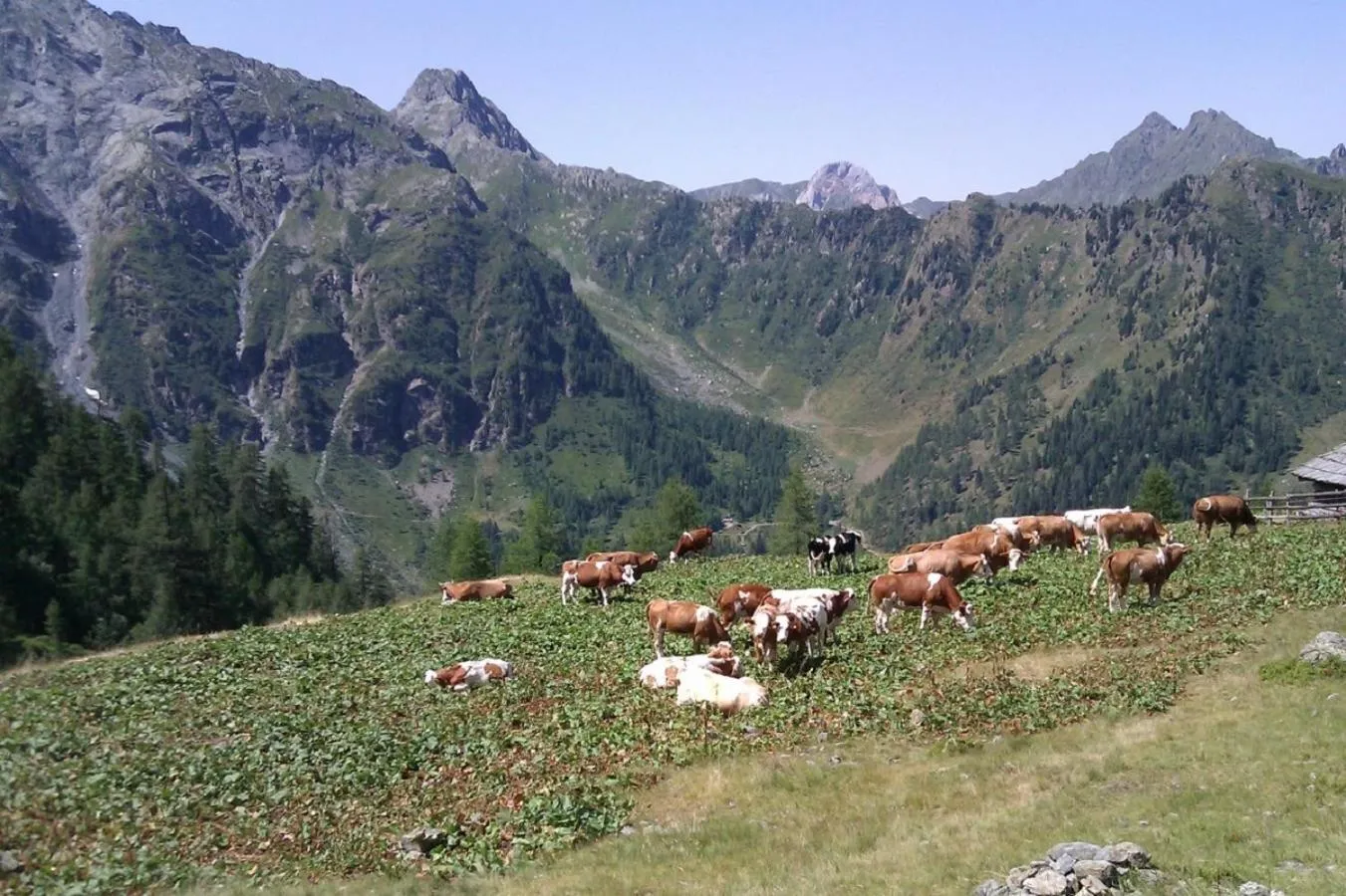 Natural landscape in Apartmentshaus Dual - 2