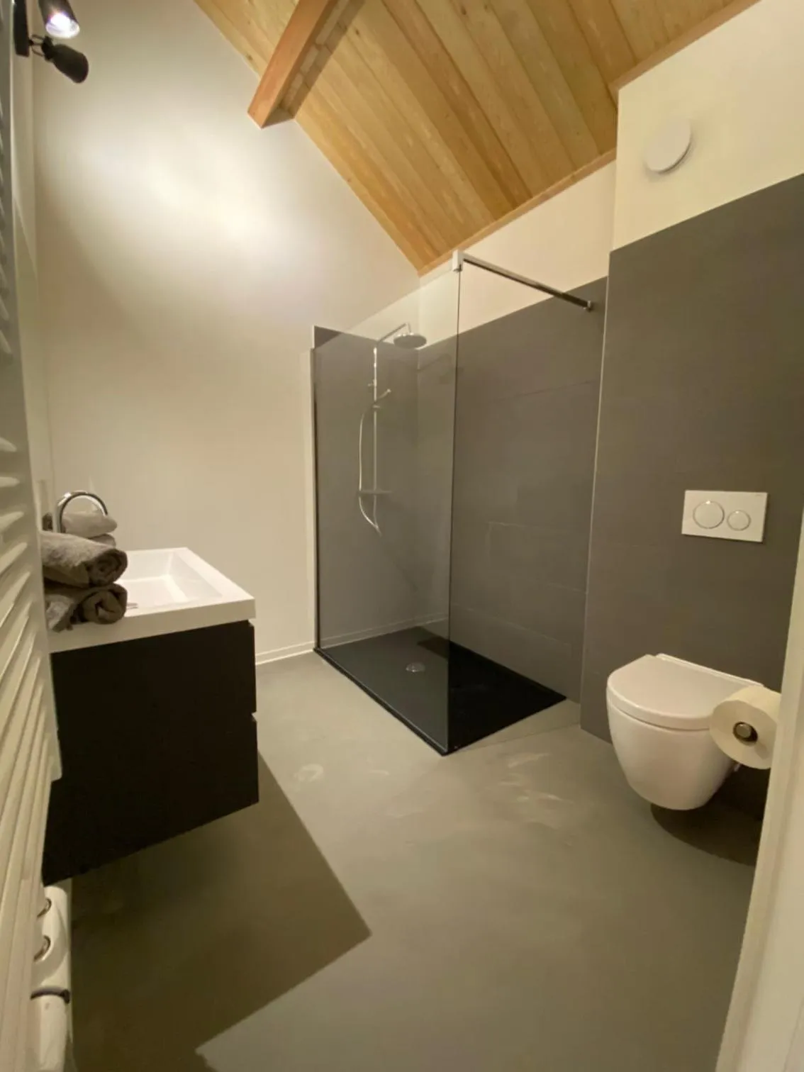 Bathroom in Apartmentshaus Dual - 2