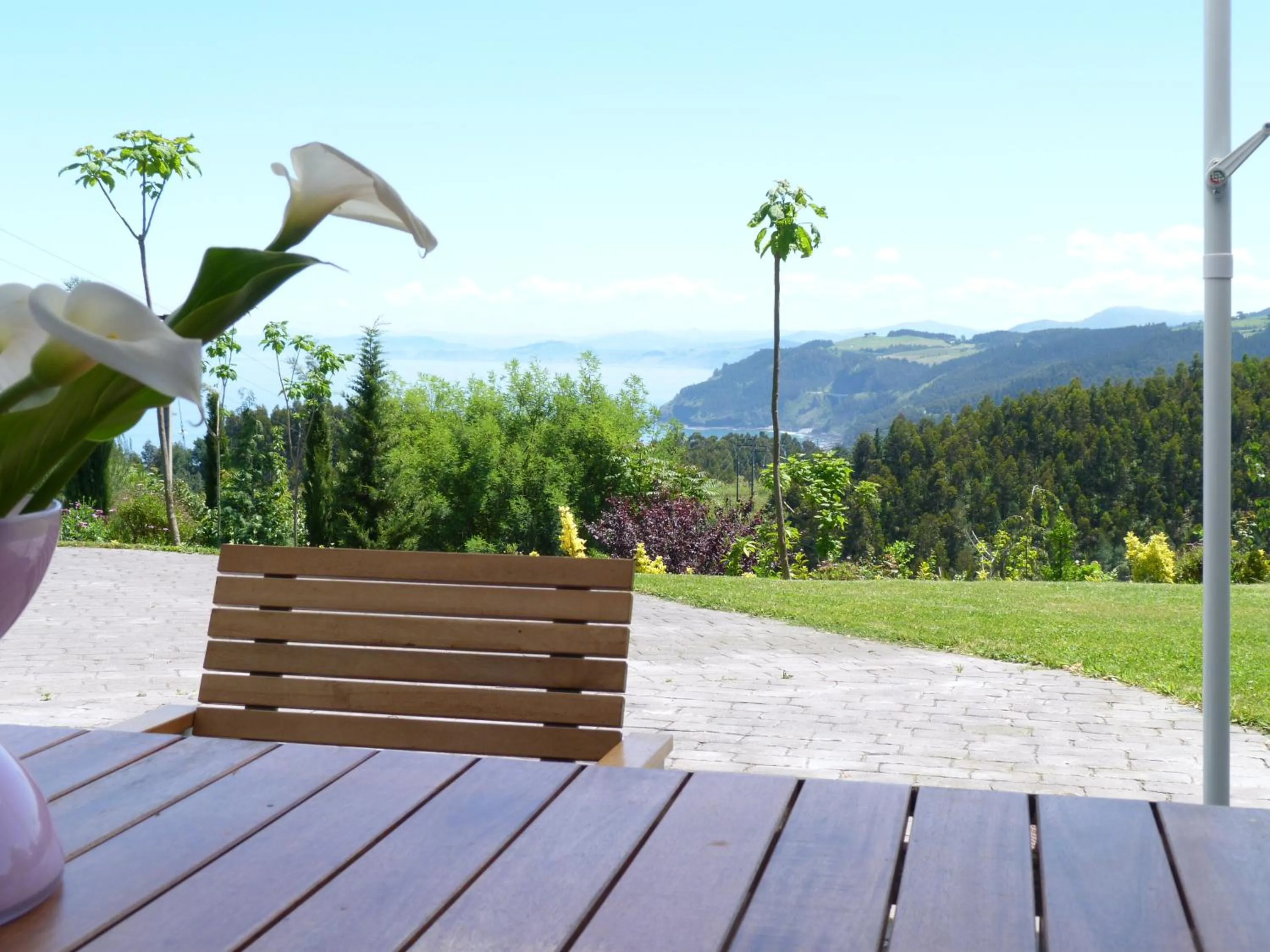 Patio in Hotel Garazar