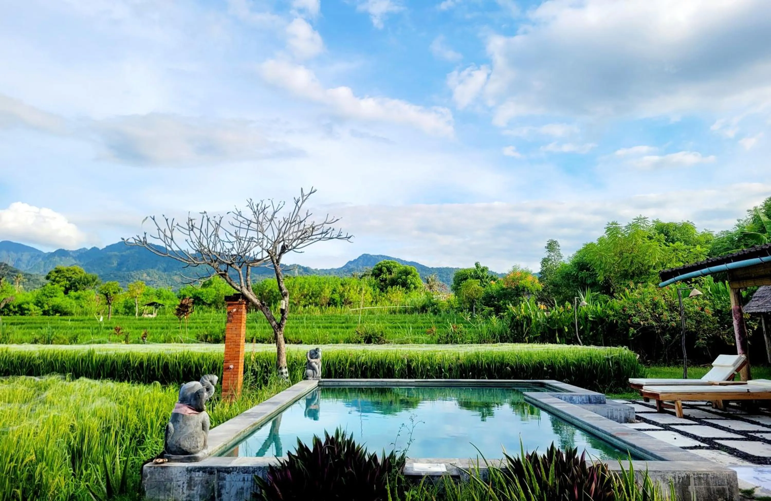 Natural landscape in Umma Bali Menjangan Retreat