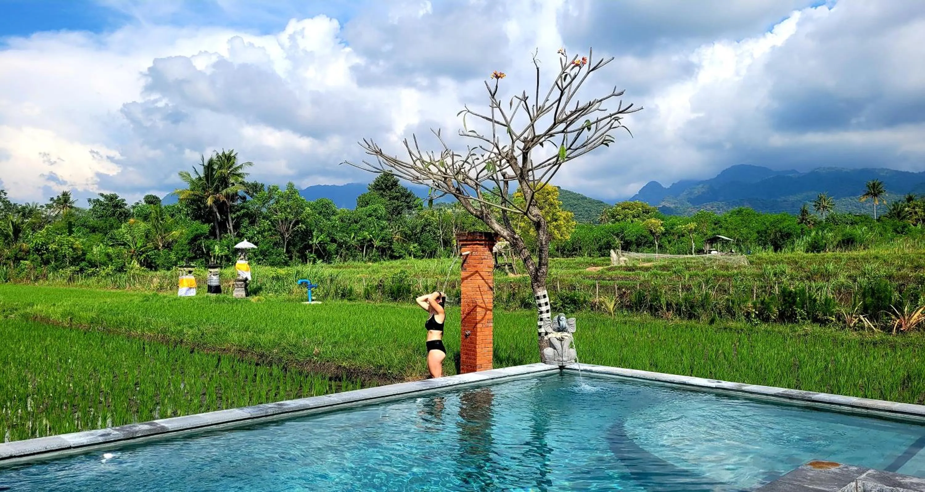 Natural landscape in Umma Bali Menjangan Retreat