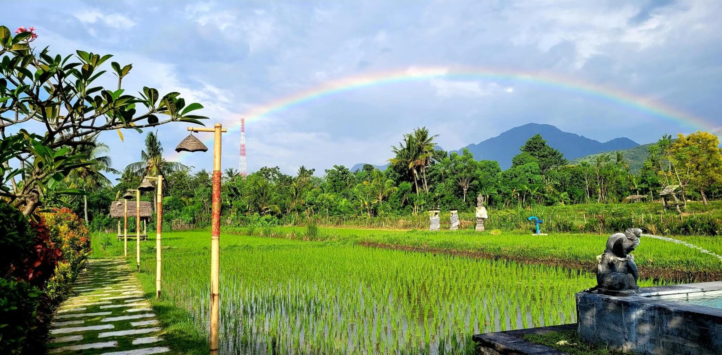 Natural landscape in Umma Bali Menjangan Retreat