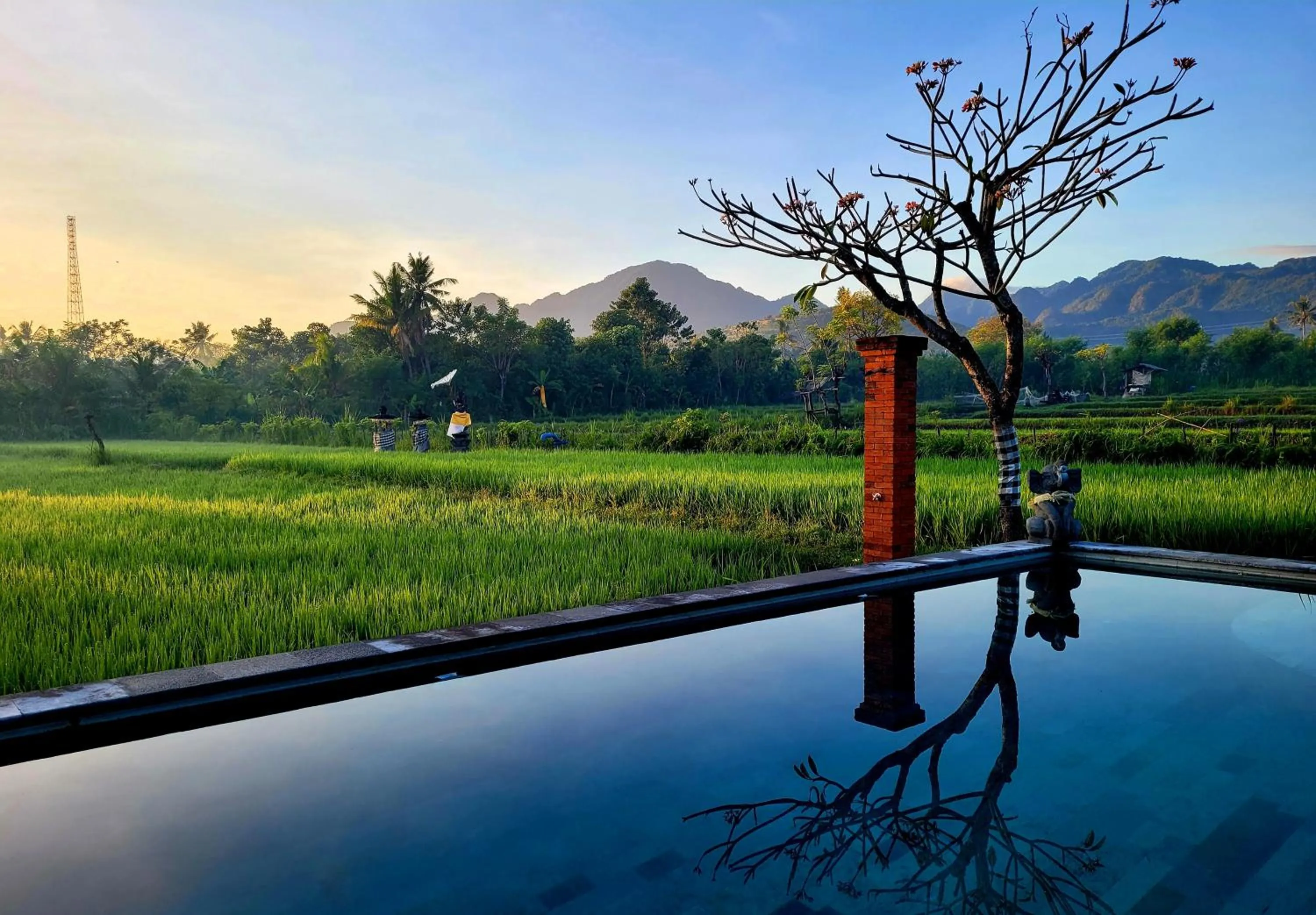 Natural landscape in Umma Bali Menjangan Retreat