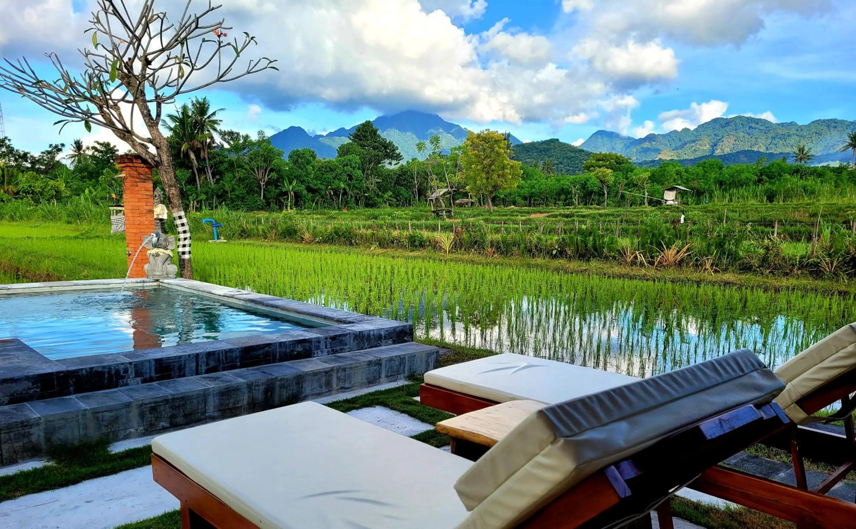 Day in Umma Bali Menjangan Retreat