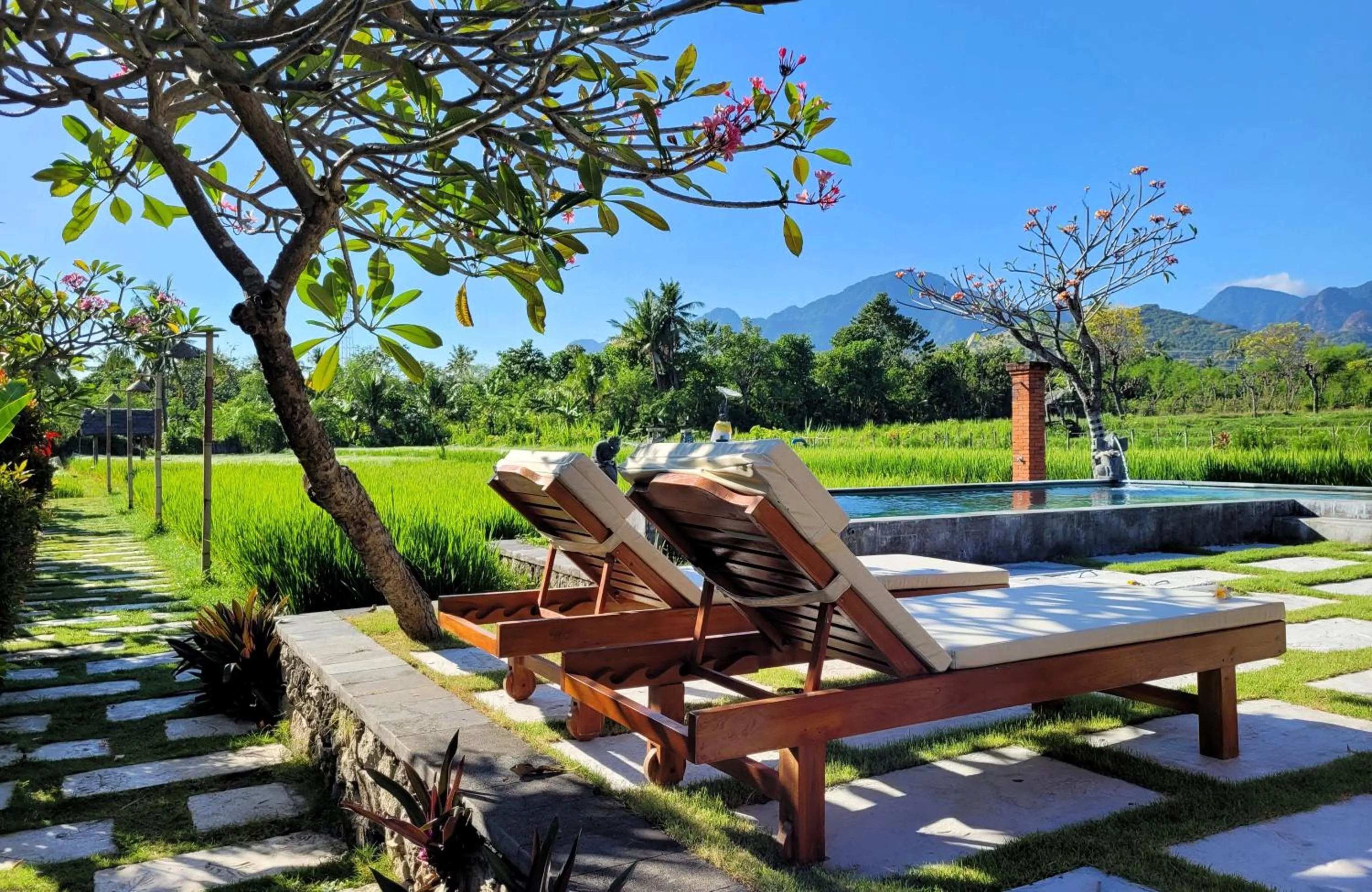 Natural landscape in Umma Bali Menjangan Retreat