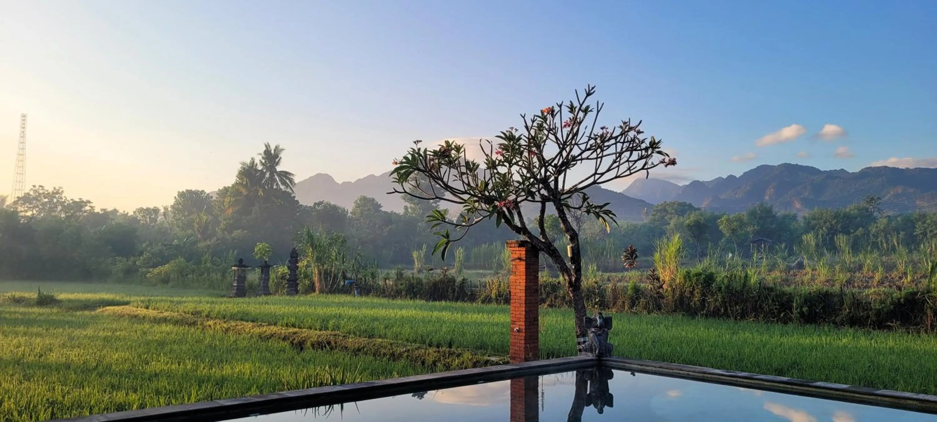Natural landscape in Umma Bali Menjangan Retreat