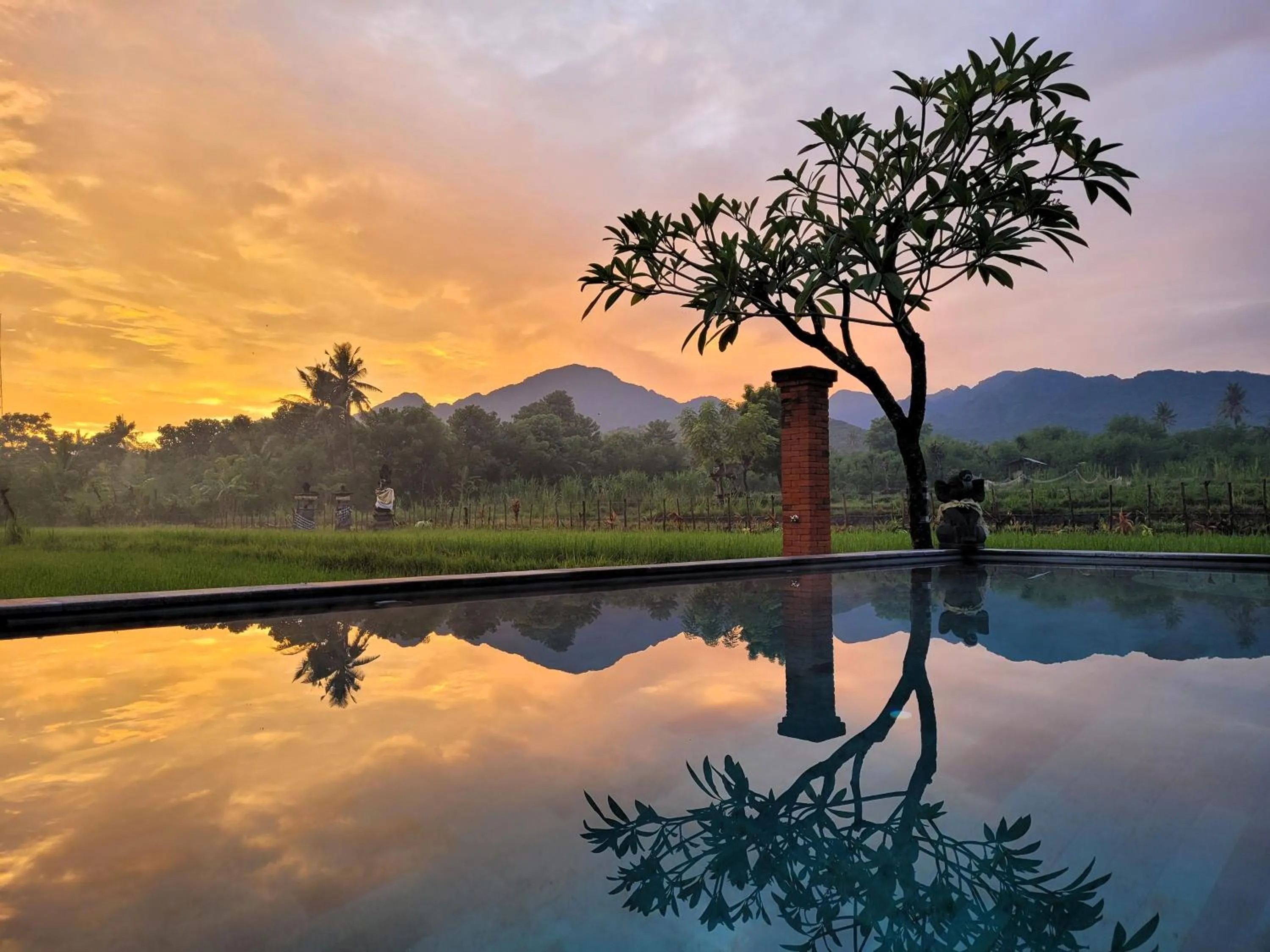 Natural landscape in Umma Bali Menjangan Retreat