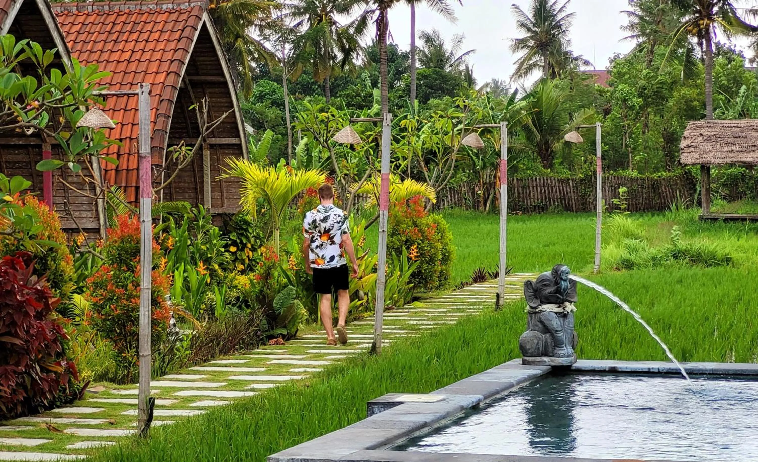 Day in Umma Bali Menjangan Retreat