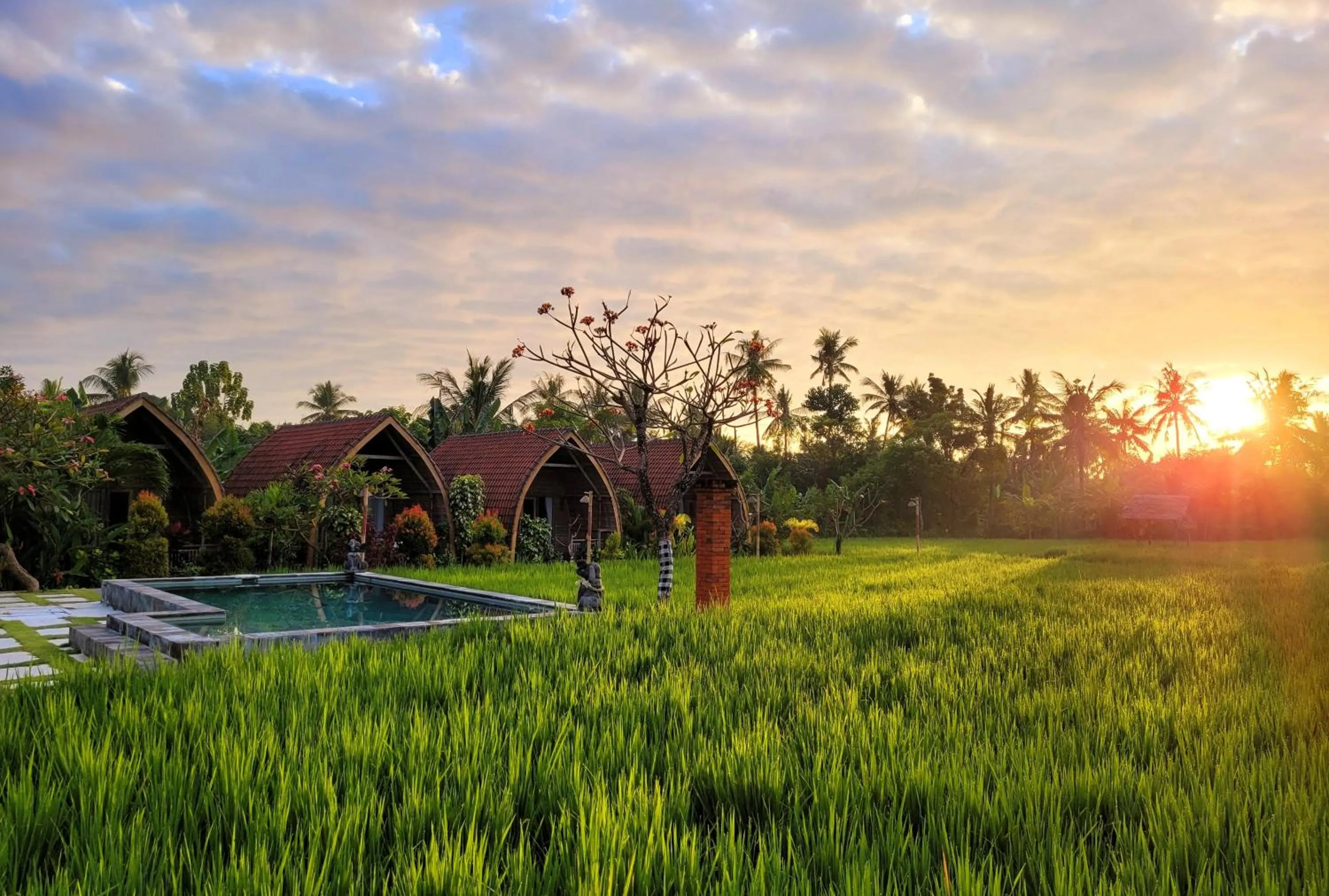 Natural landscape in Umma Bali Menjangan Retreat