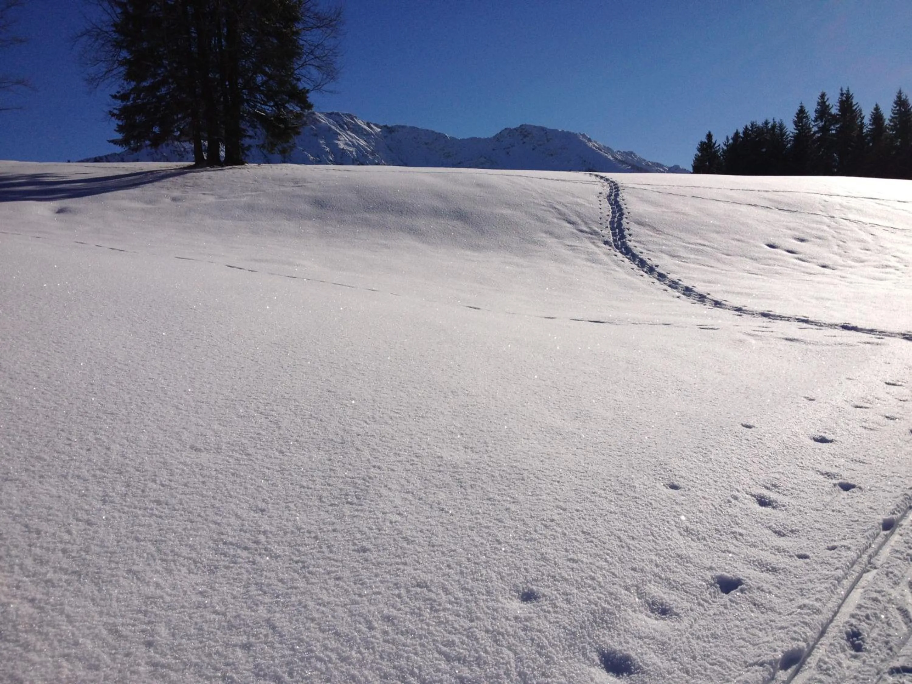 Natural landscape in Hotel Anneliese
