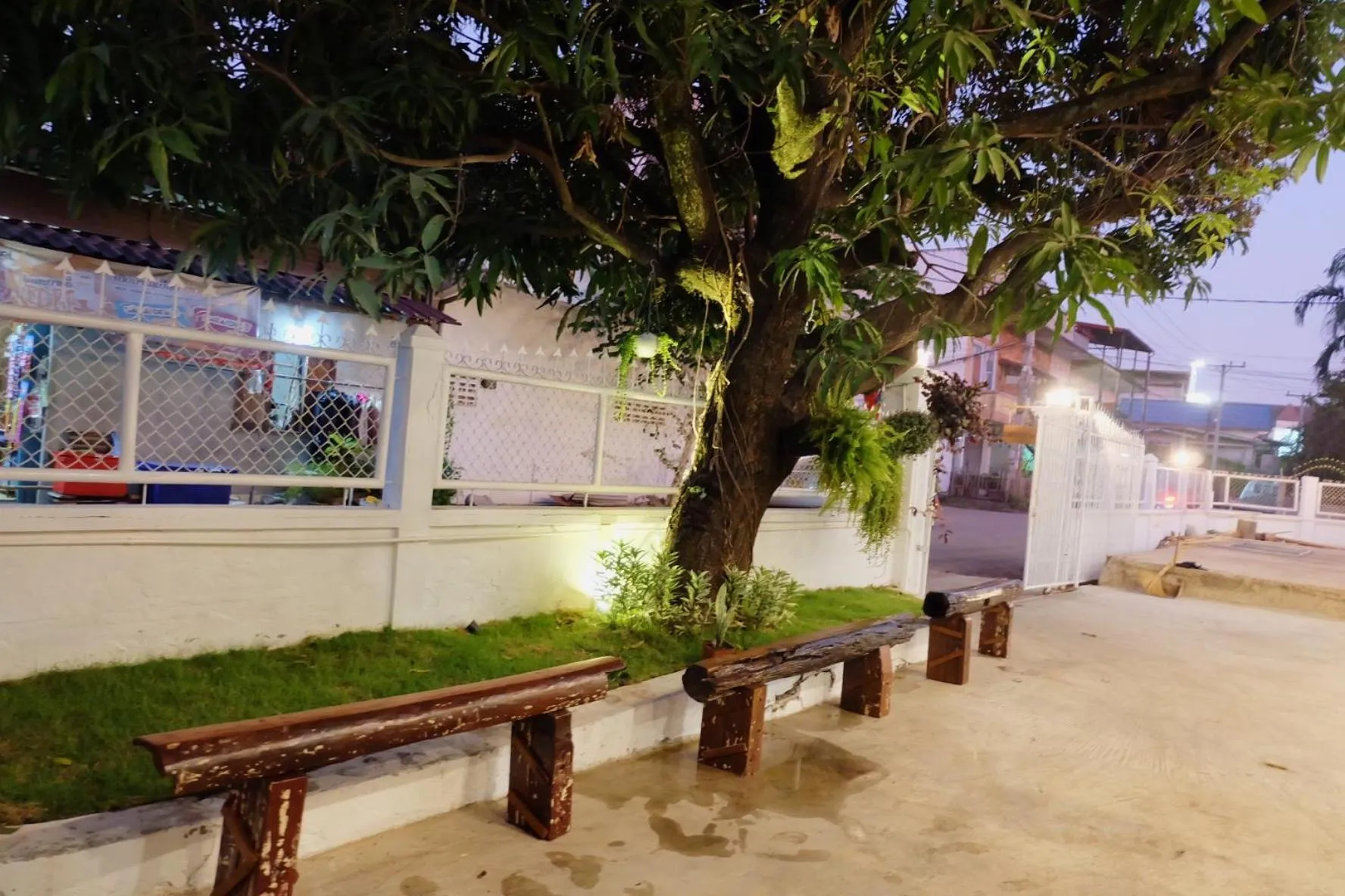 Garden in Barn Laos Hostel