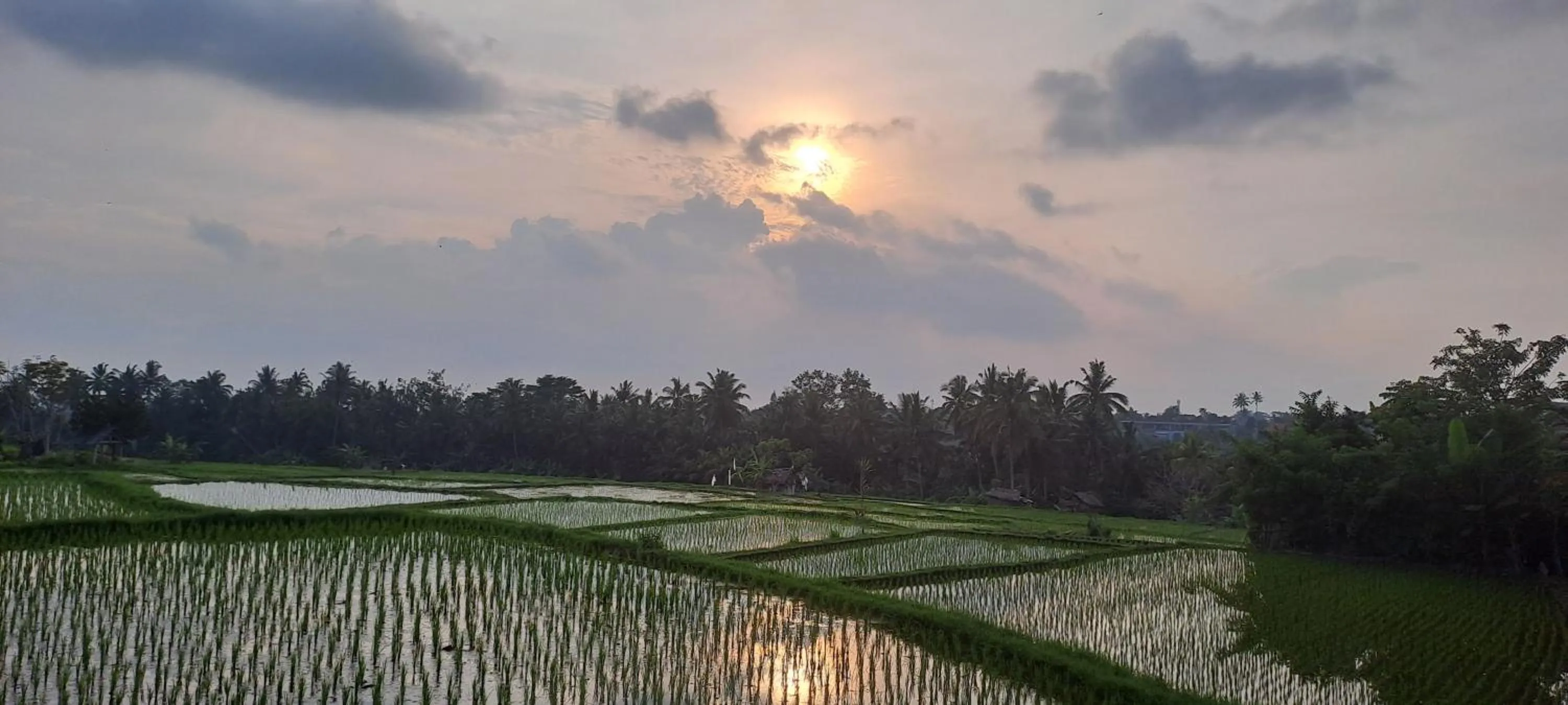 Day in Galang hari villa