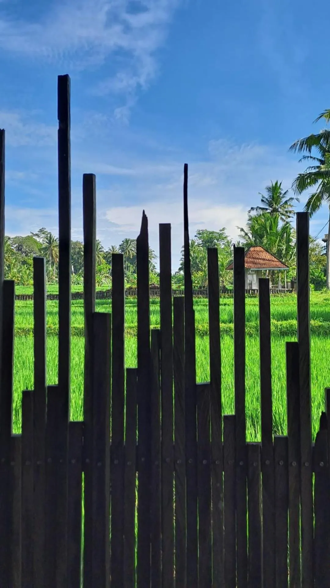 Day in Galang hari villa