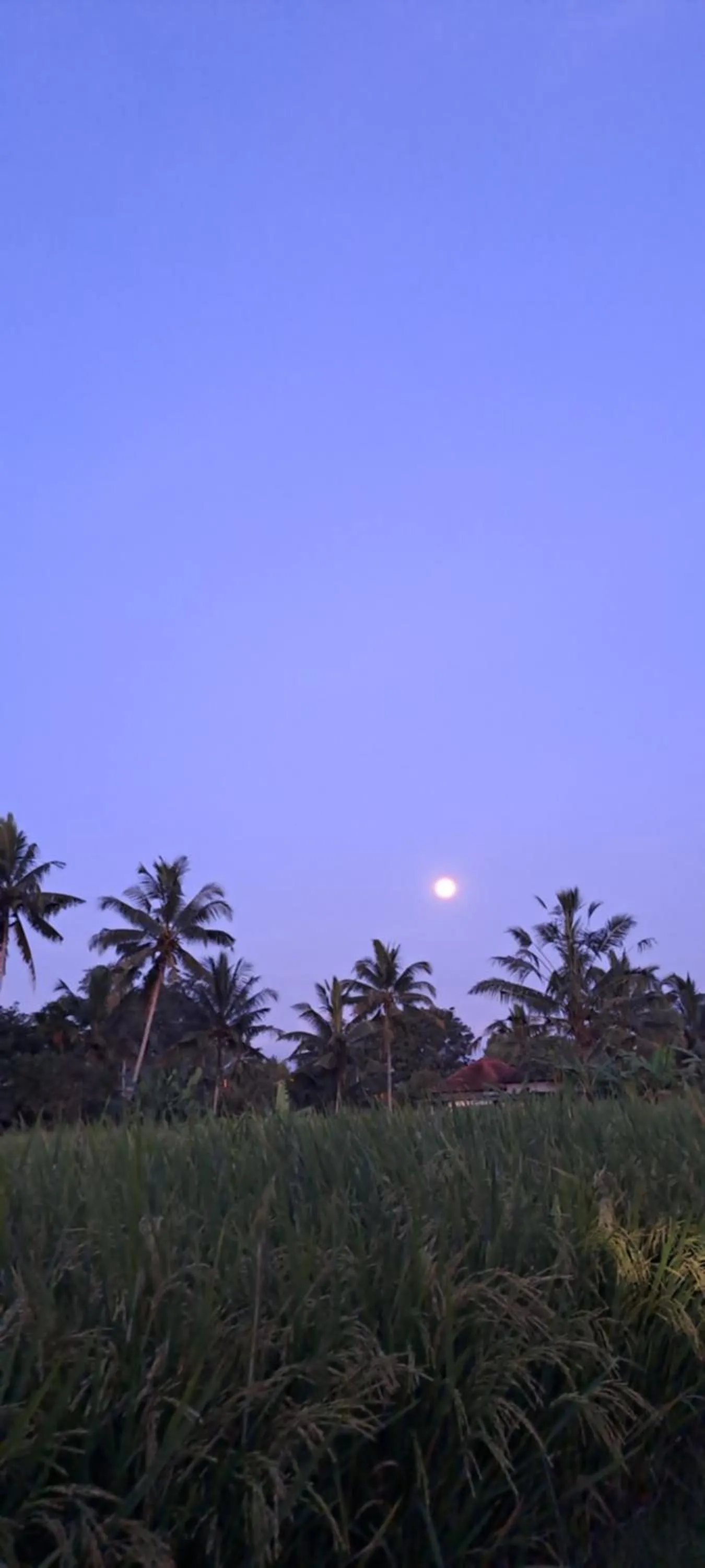 Night in Galang hari villa