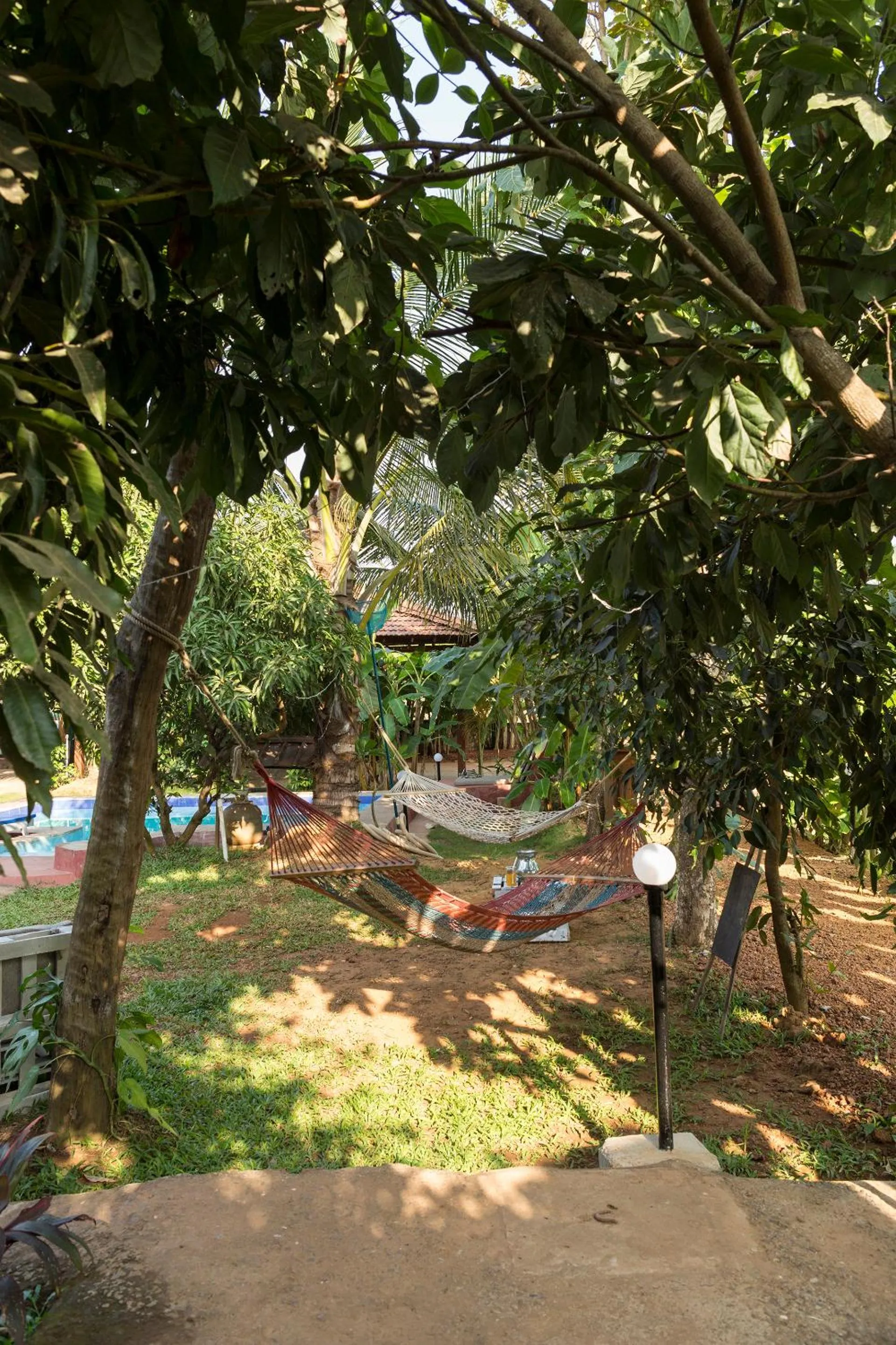 Garden in The Hammock Goa