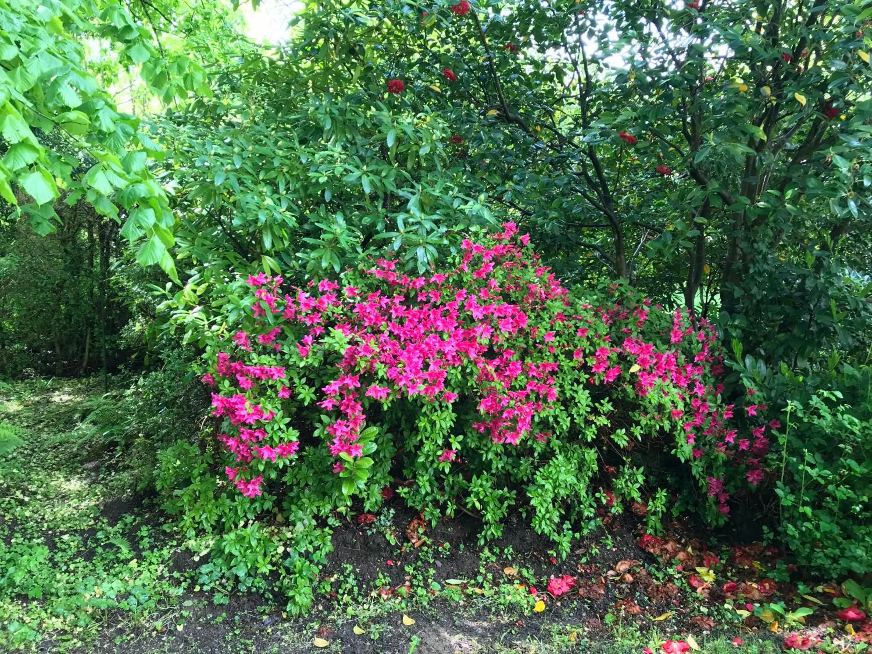 Residence le Petit Paradis