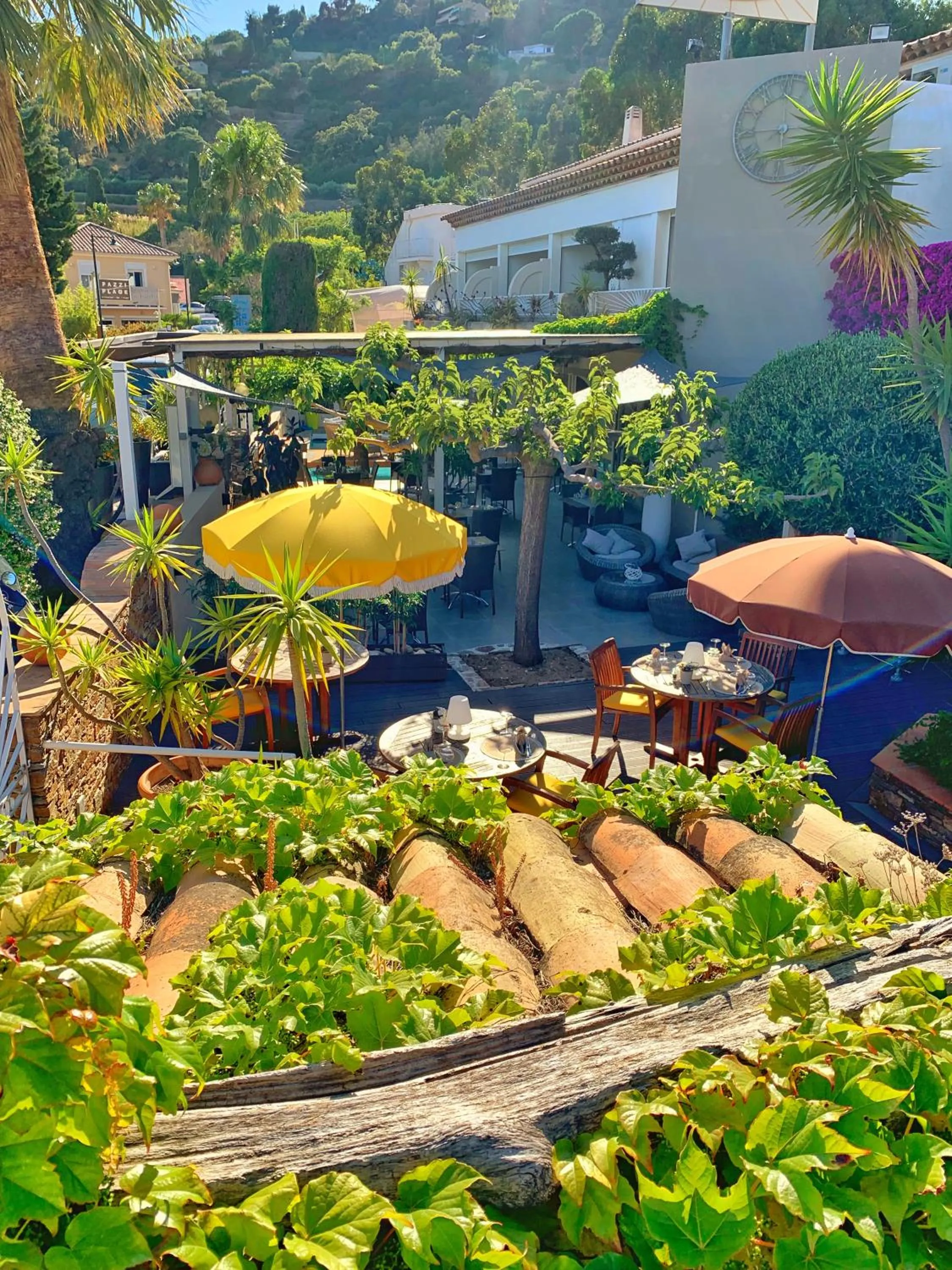 Garden view in Hôtel Beau Soleil