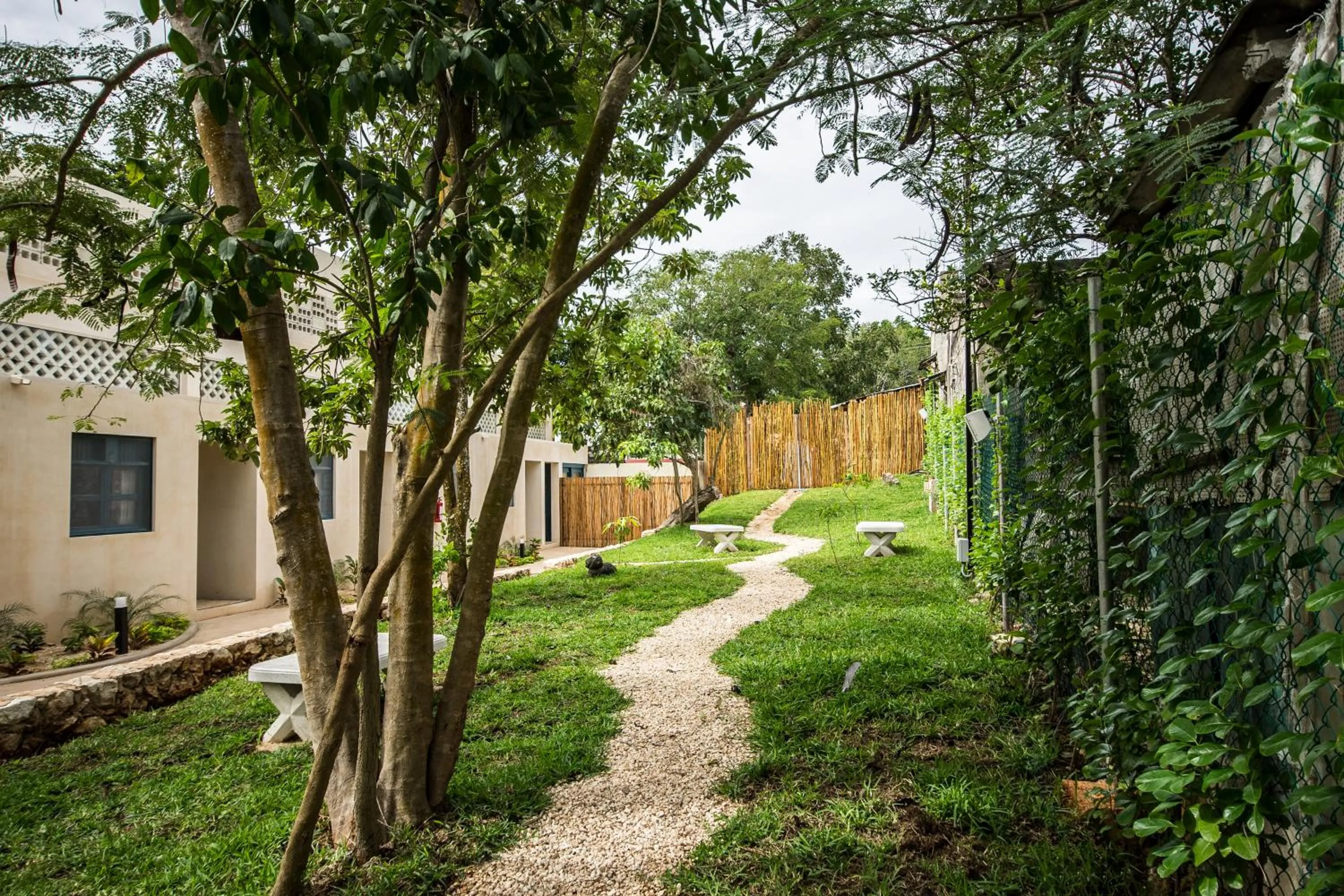 Garden in Waye Valladolid Centro - Sustainable, Authentic Experiences & Pet Friendly Boutique Hotel