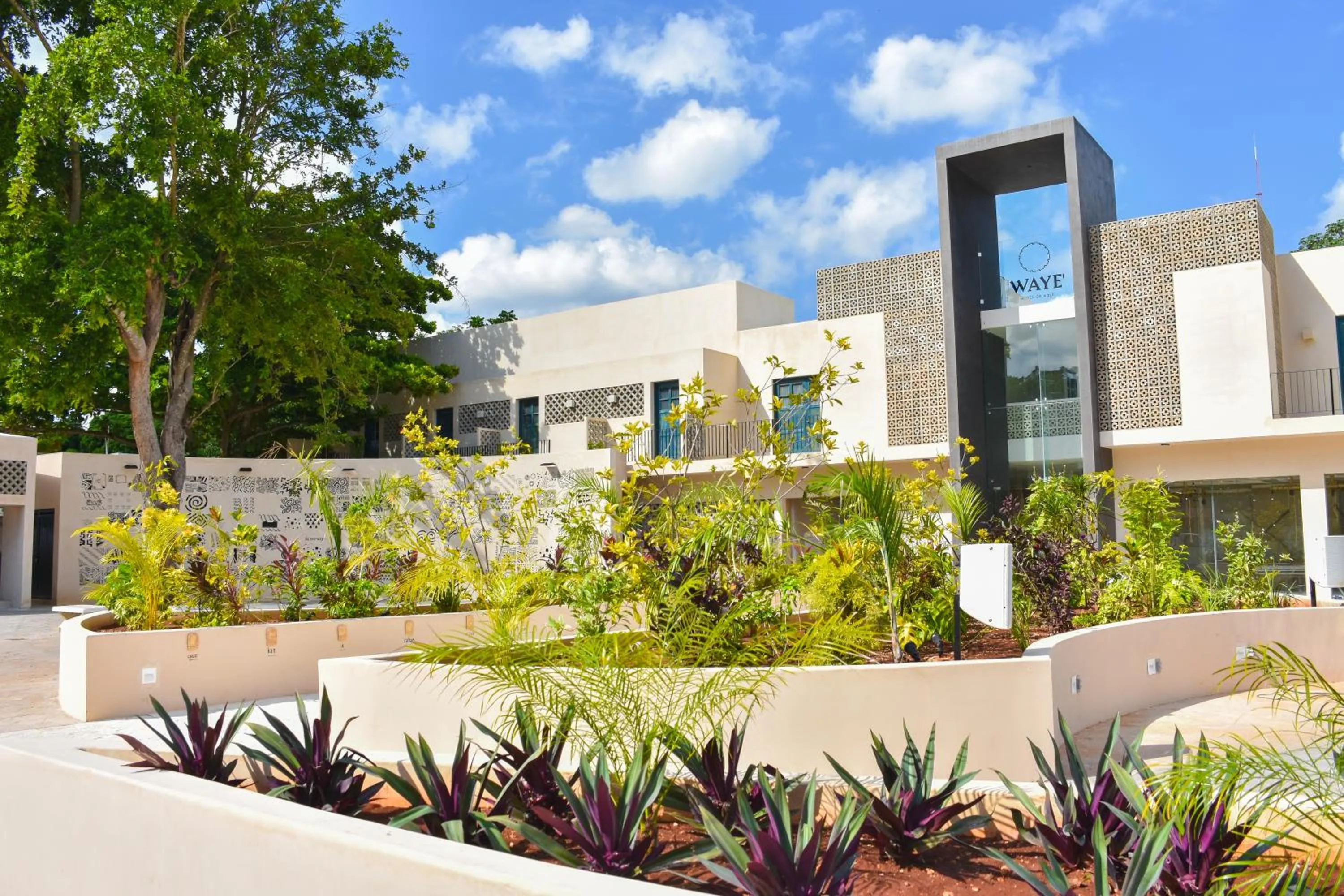 Property building in Waye Valladolid Centro - Sustainable, Authentic Experiences & Pet Friendly Boutique Hotel