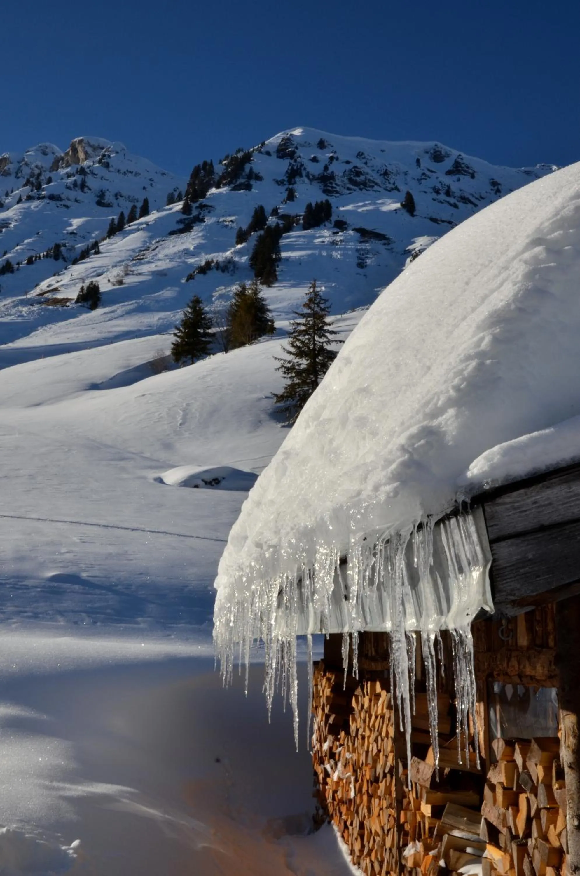 Day in Les Gentianettes Hotel & Spa