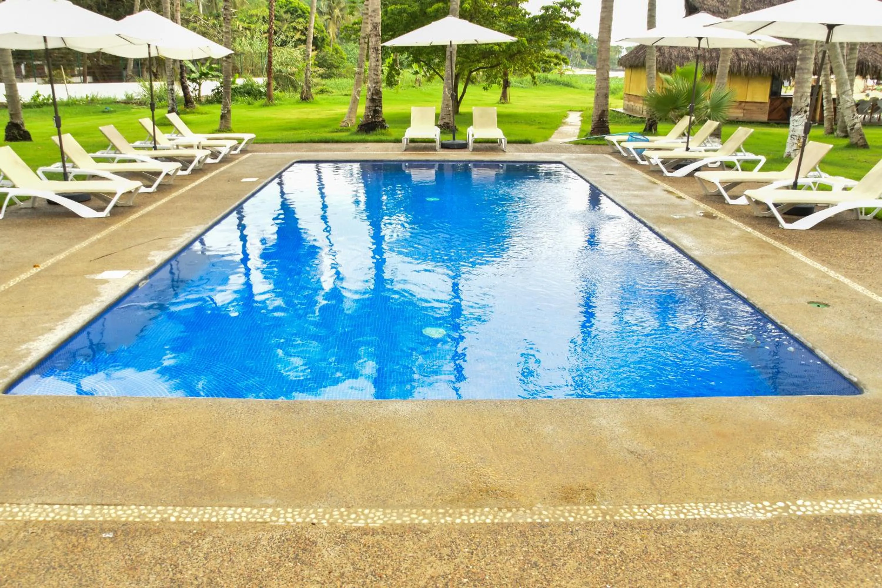 Garden in Hotel Ysuri San Pancho