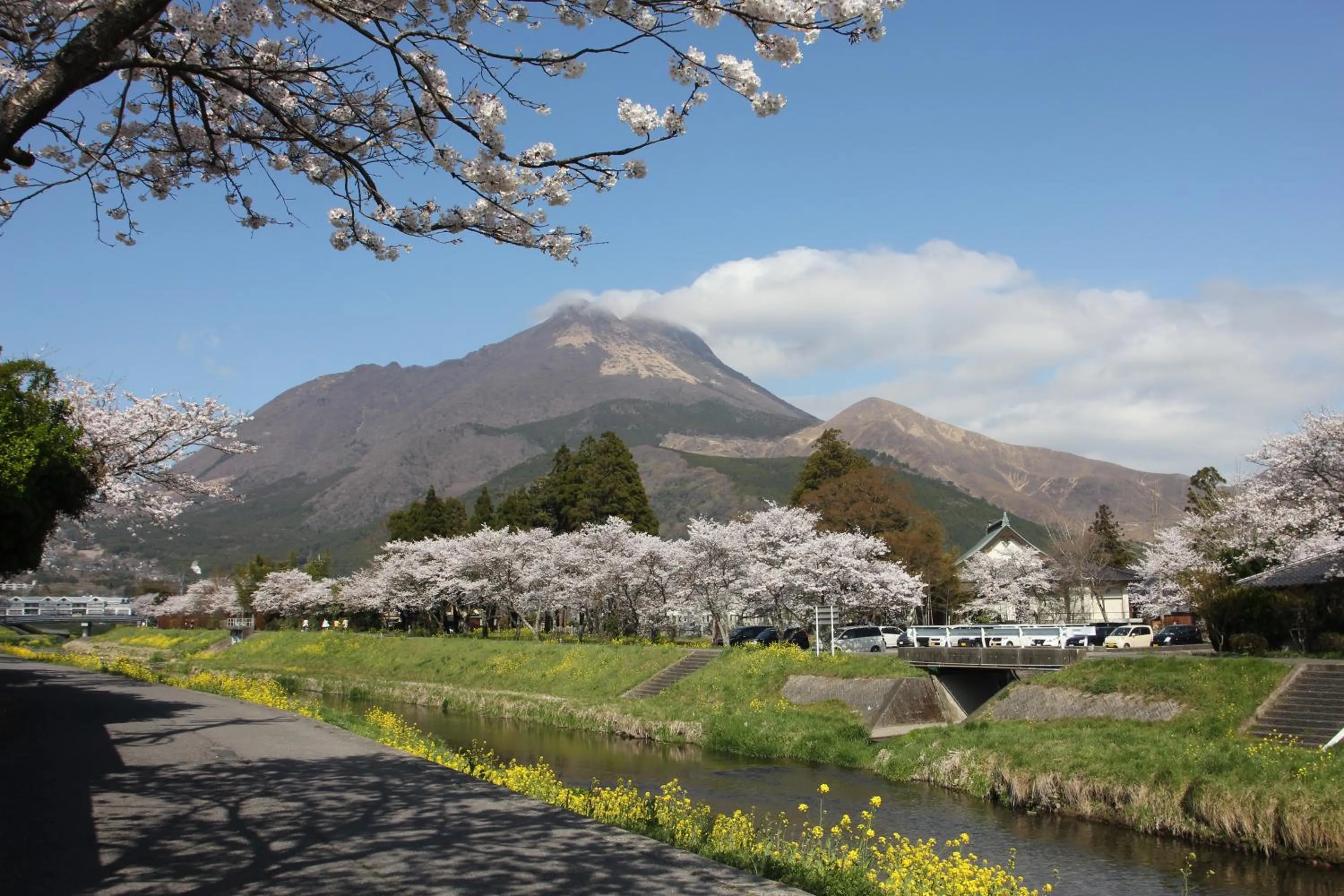 Mountain view in Yufuin-Sanso Waremokou