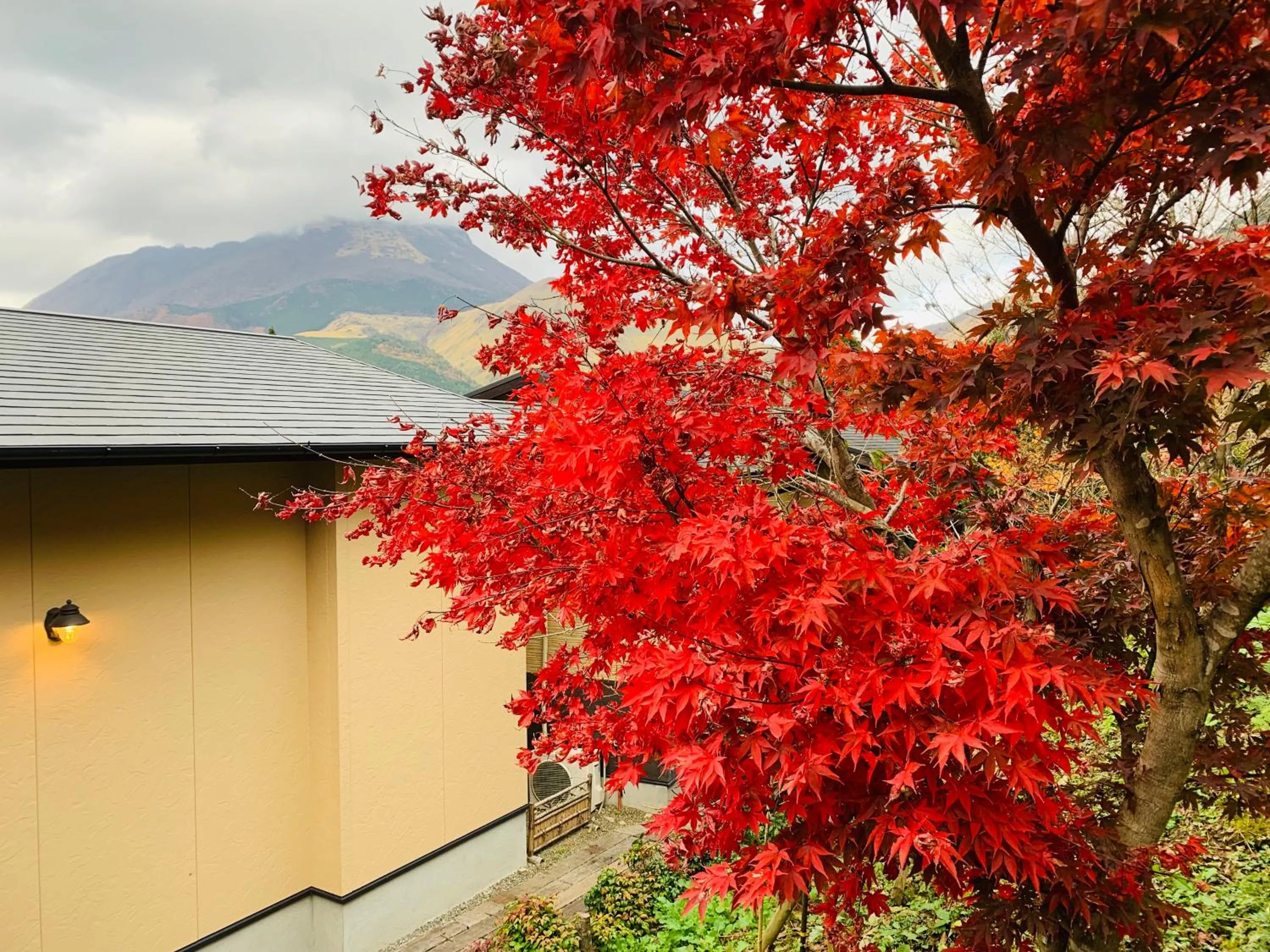 Natural landscape in Yufuin-Sanso Waremokou