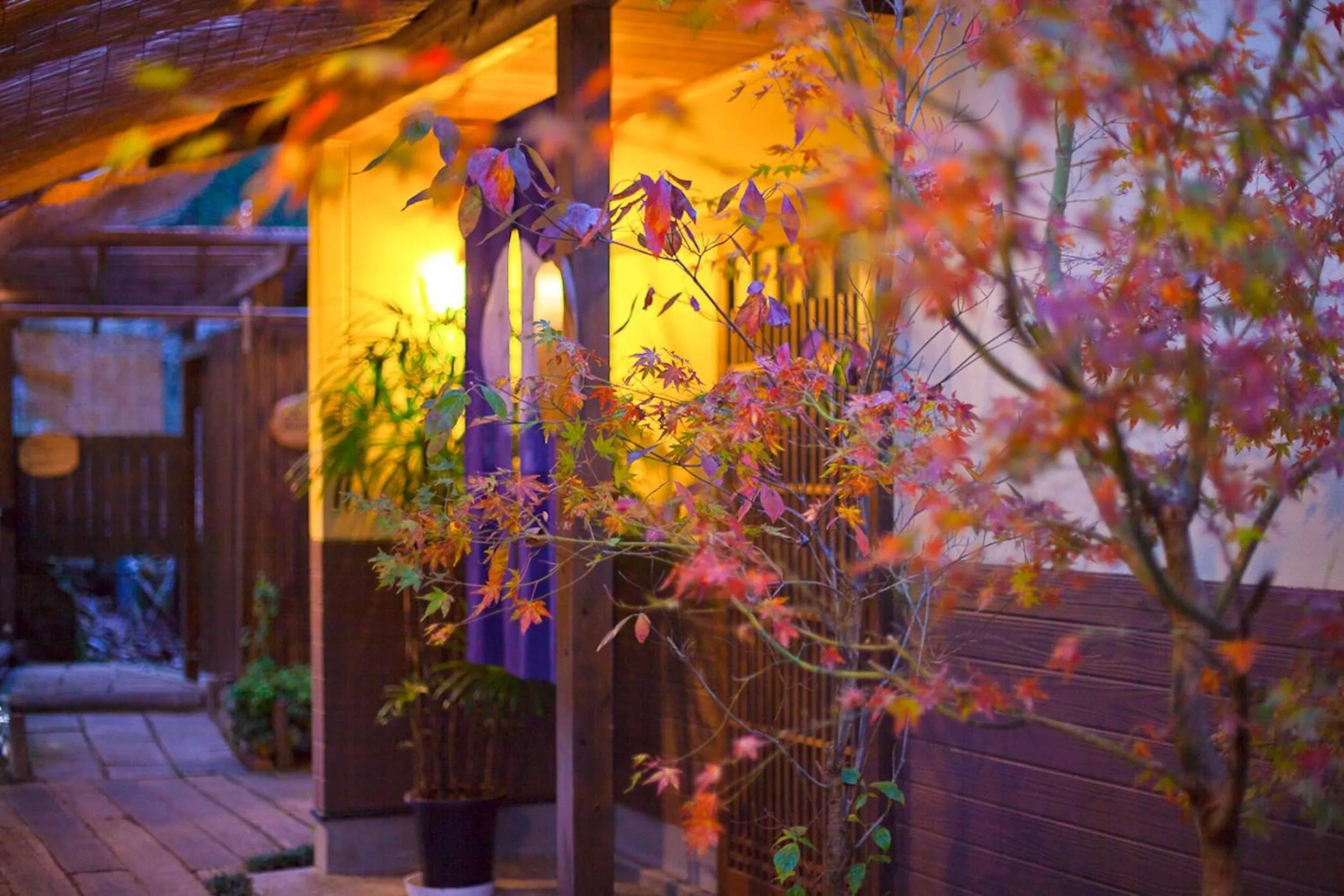 Property building in Yufuin-Sanso Waremokou