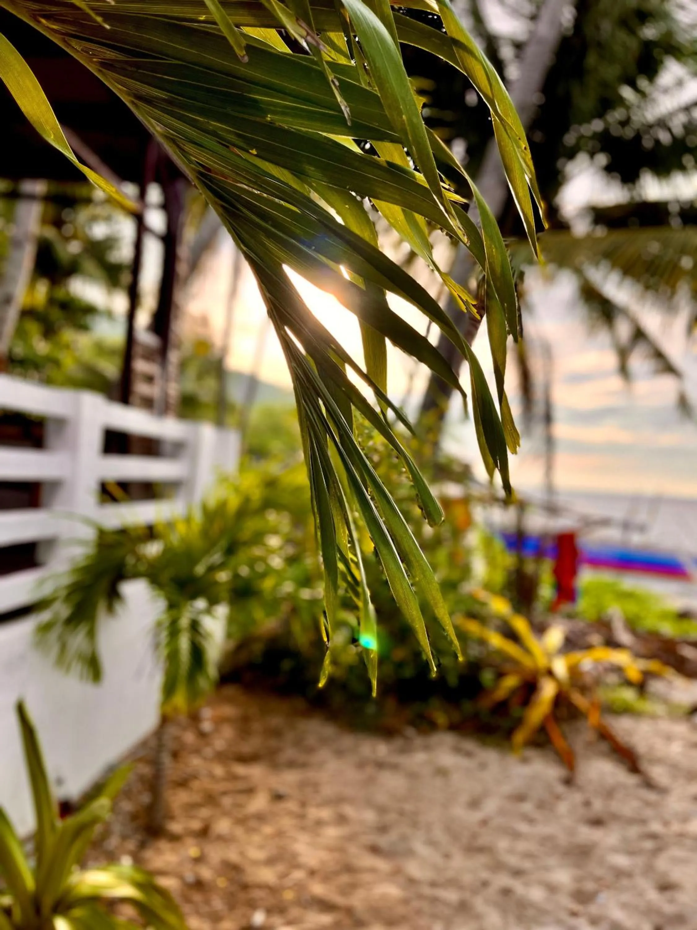 Beach in Amami Beachfront Villa with Private Beach