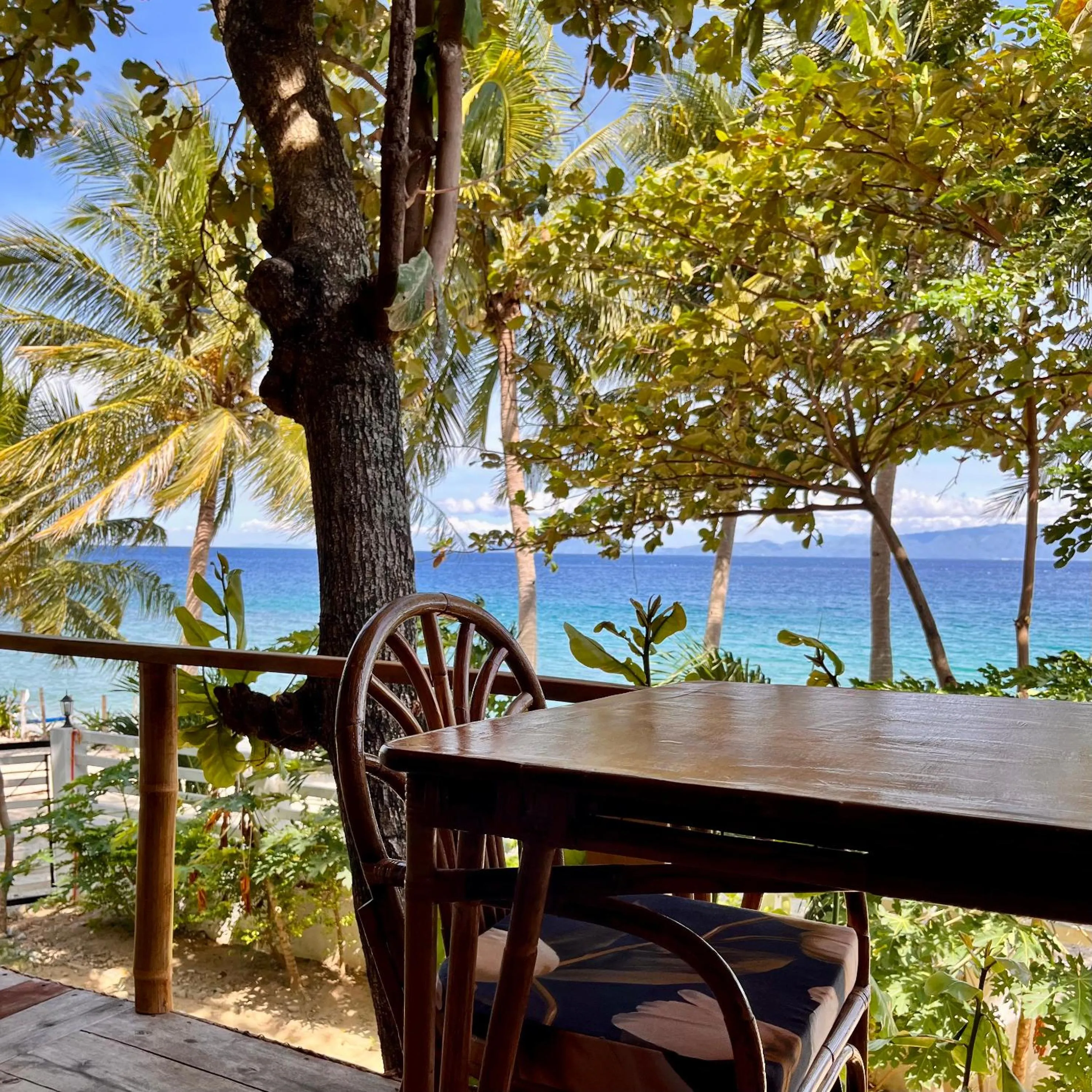 View (from property/room) in Amami Beachfront Villa with Private Beach