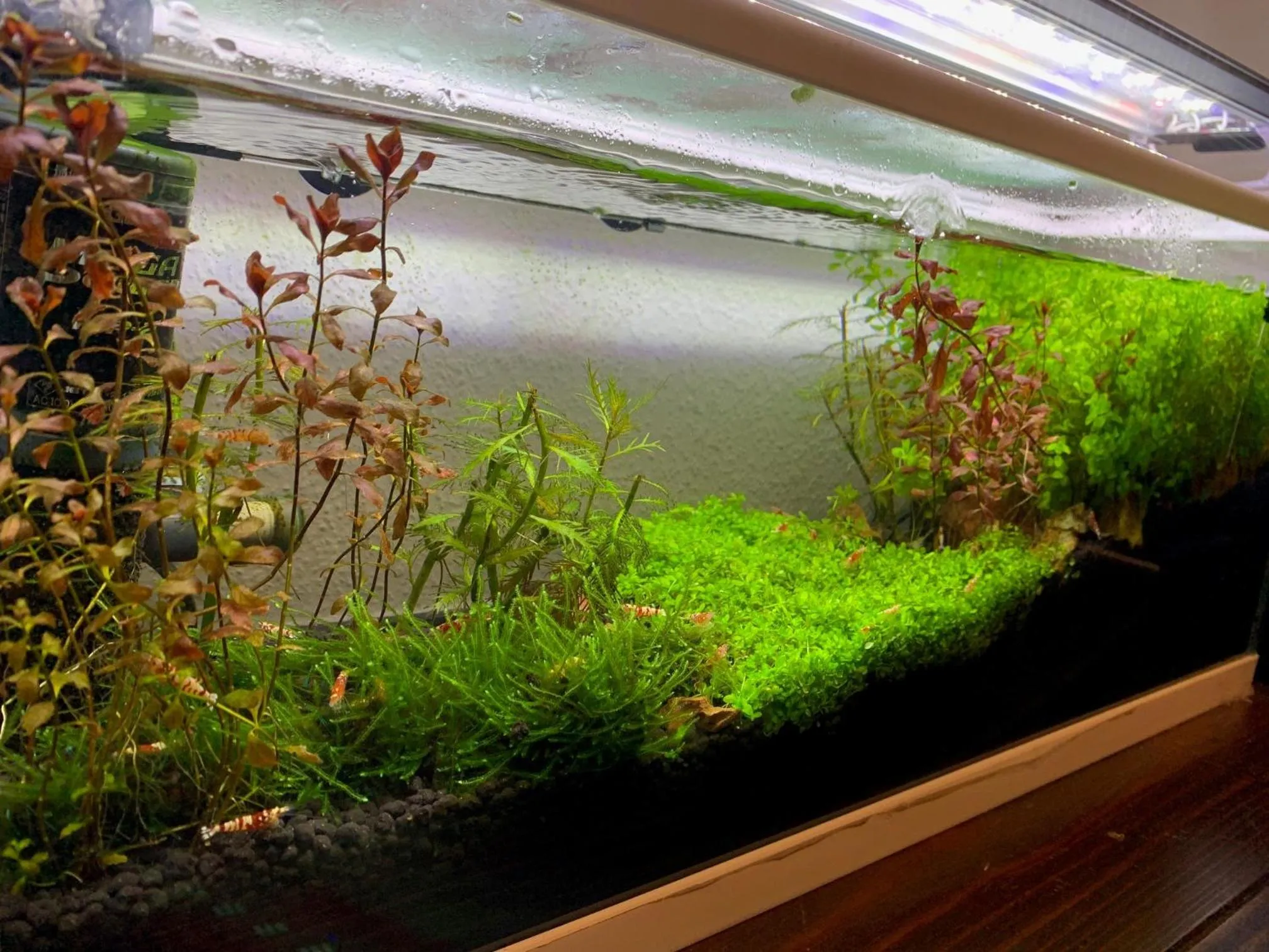 Natural landscape in Shinjuku Miyabi Residence