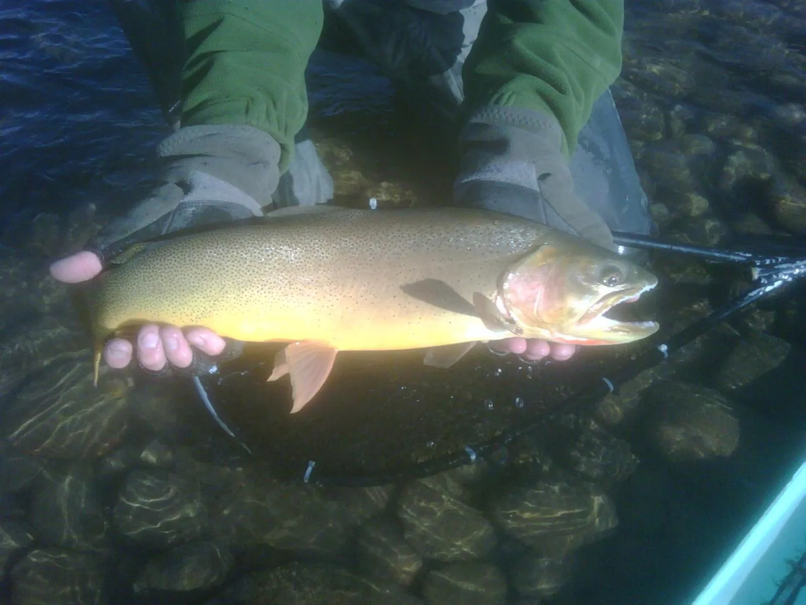 Fishing in Spring Creek Ranch